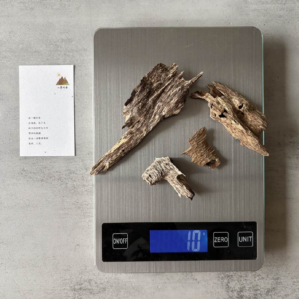 蟻漏加里曼丹-06