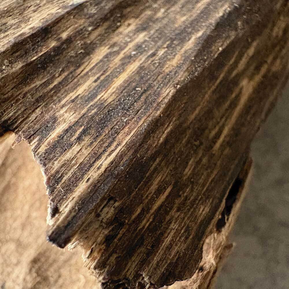 【小料重油款】野生芽莊沉香10g(隨機造型)-04