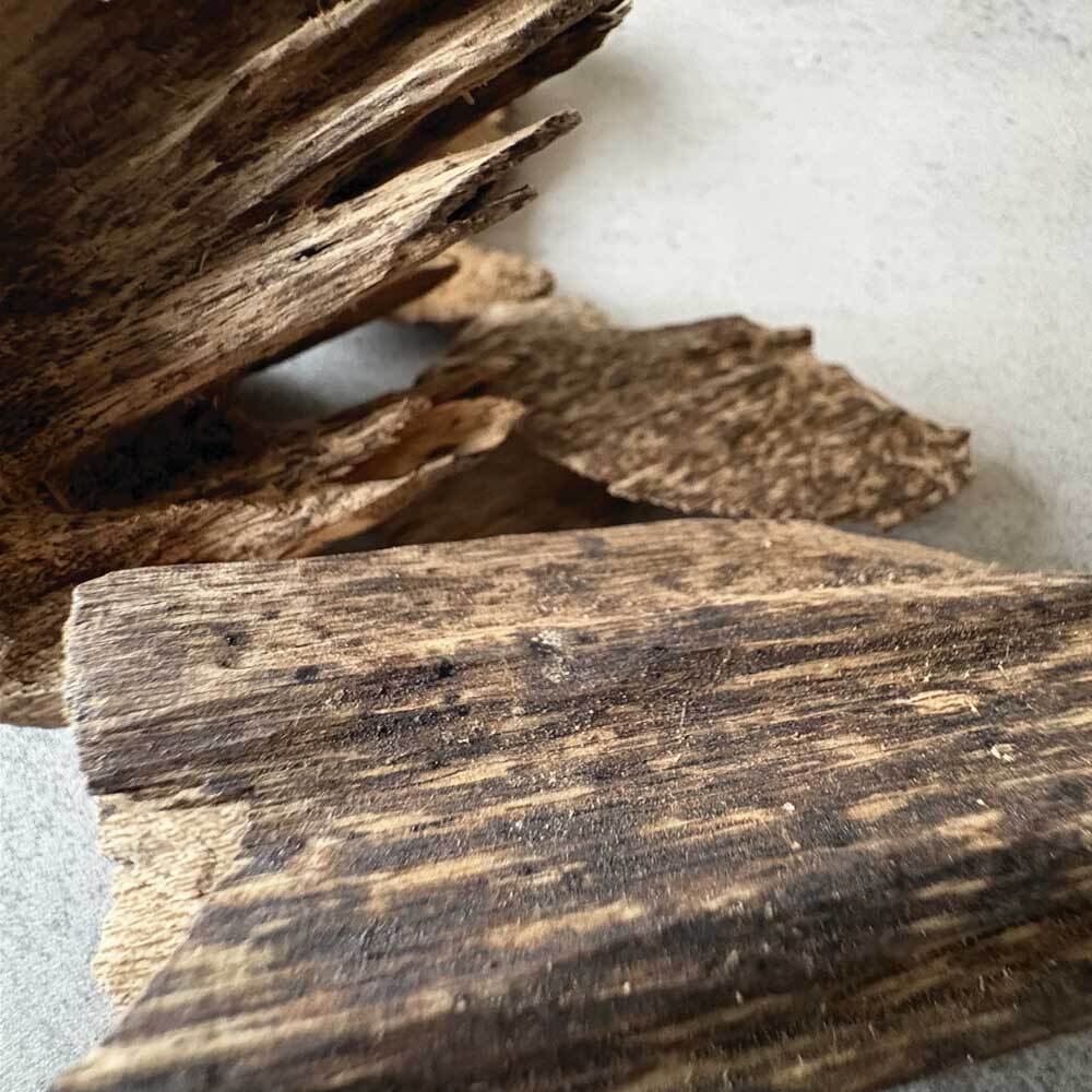 【小料重油款】野生芽莊沉香10g(隨機造型)-03