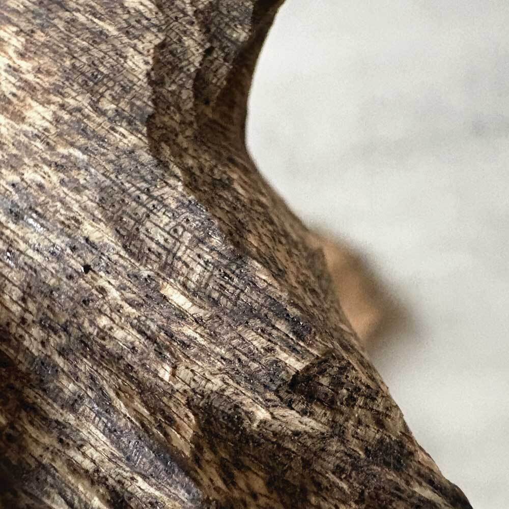 【小料重油款】野生芽莊沉香10g(隨機造型)-05