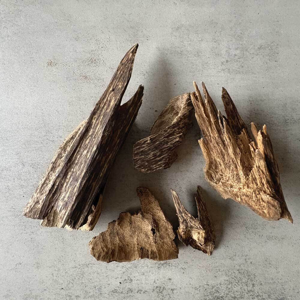 【小料重油款】野生芽莊沉香10g(隨機造型)-01