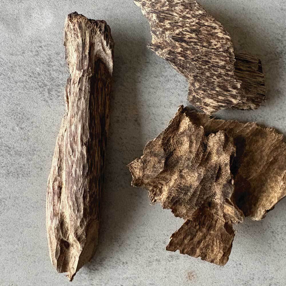 【小料重油款】野生芽莊沉香10g(隨機造型)-02