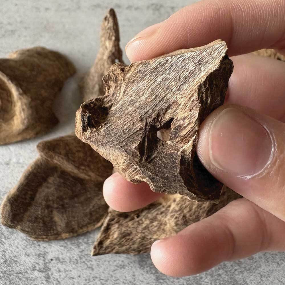 達拉甘九分沉-02