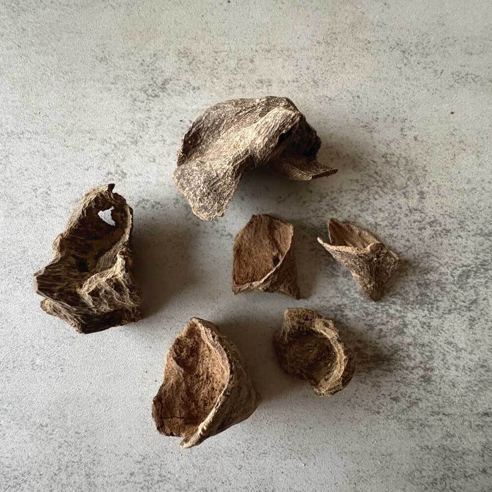 達拉甘九分沉-01