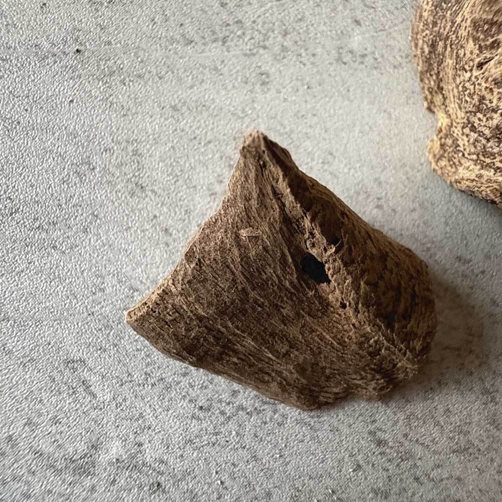 達拉甘九分沉-05