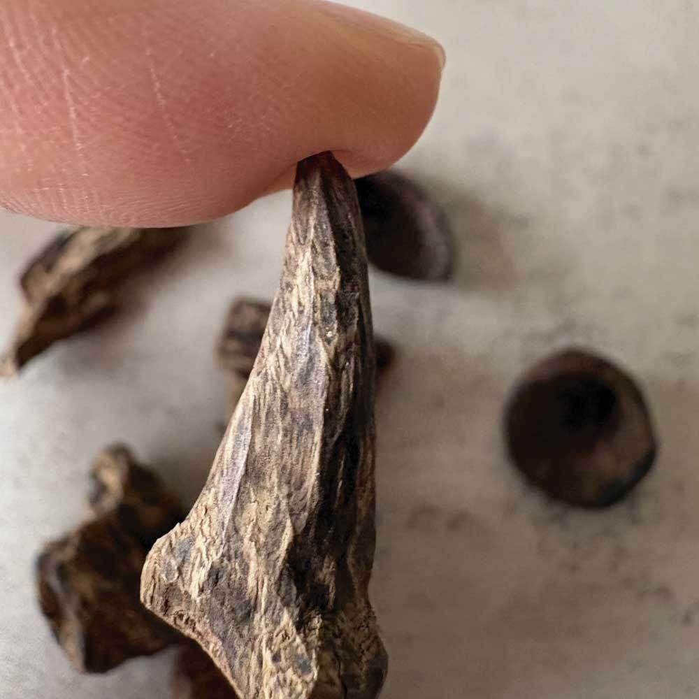 小料厚實沉水-03