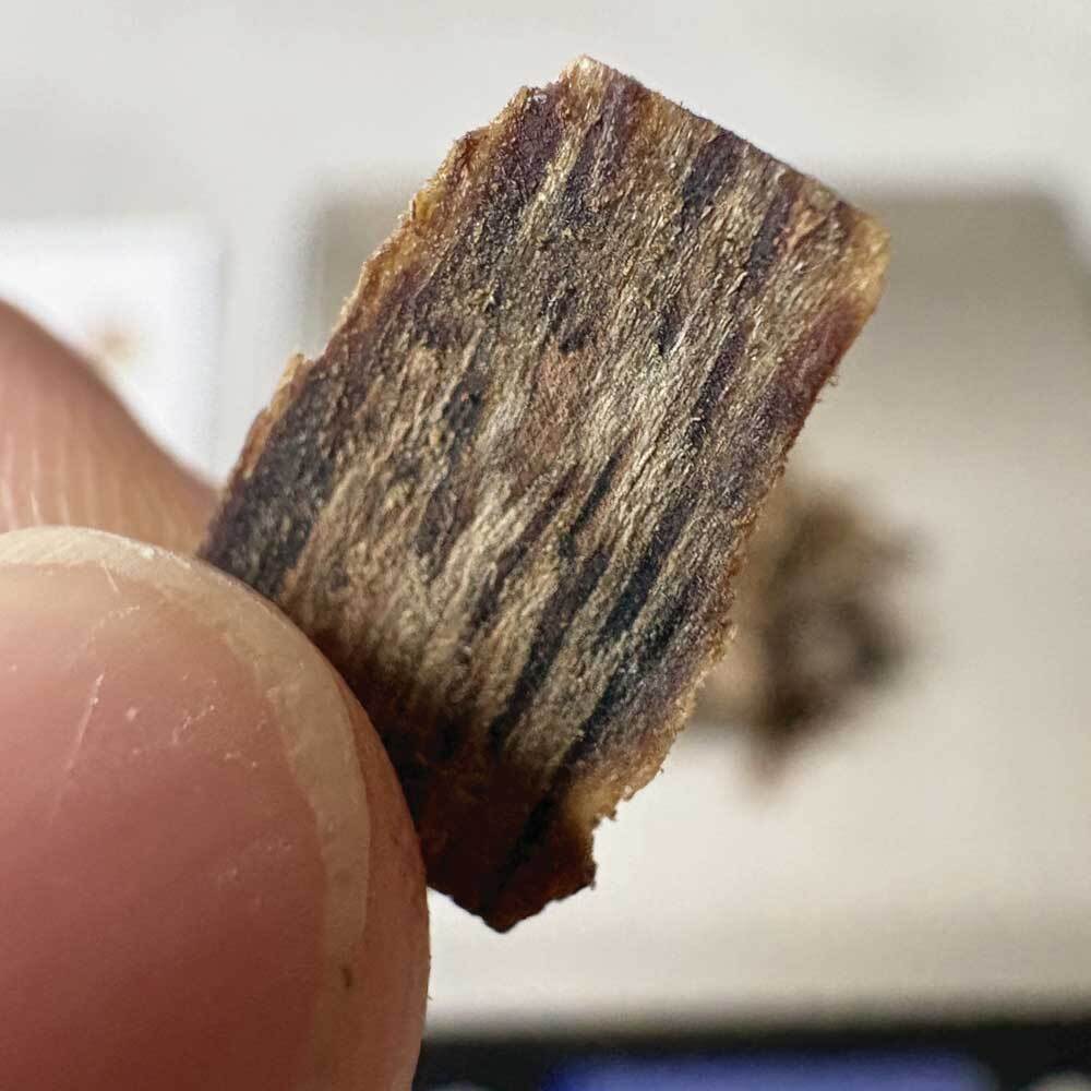 九分沉樹心油-02