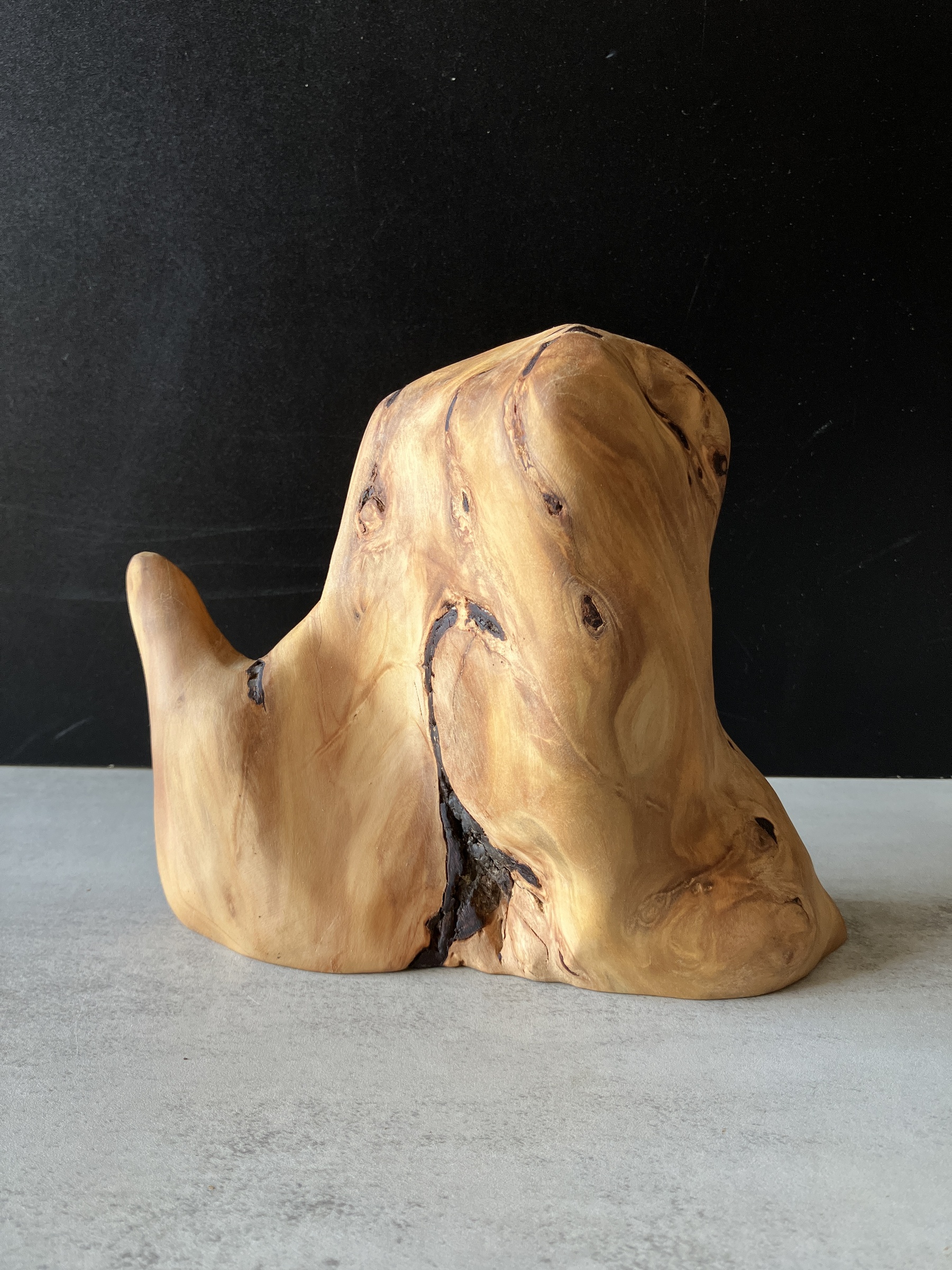 image_682FE49E-6B1E-4C15-892B-8B3AD0320504_1776148465