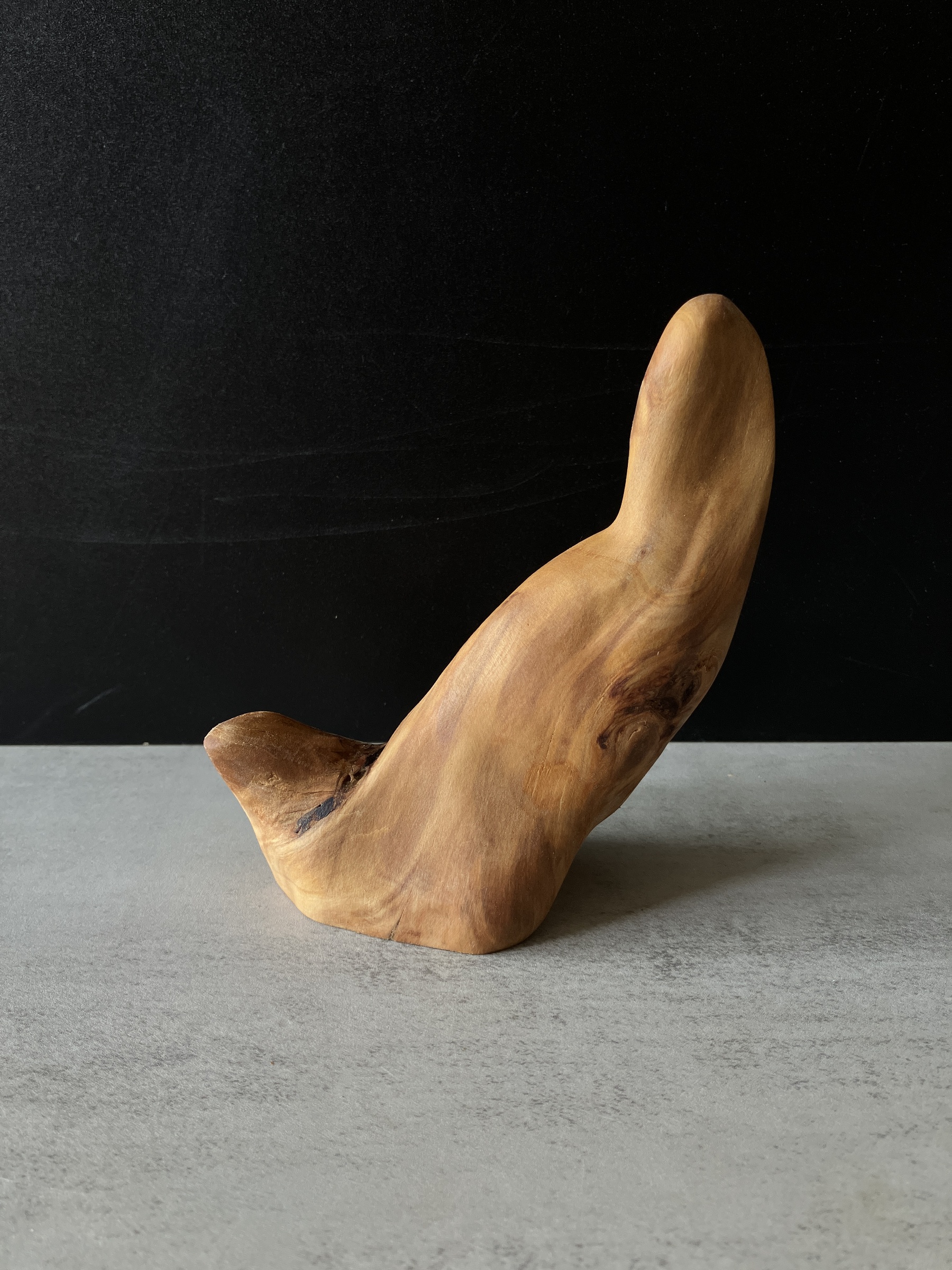 image_0234A6AB-67C8-436A-93C2-349AF105F998_1776148588