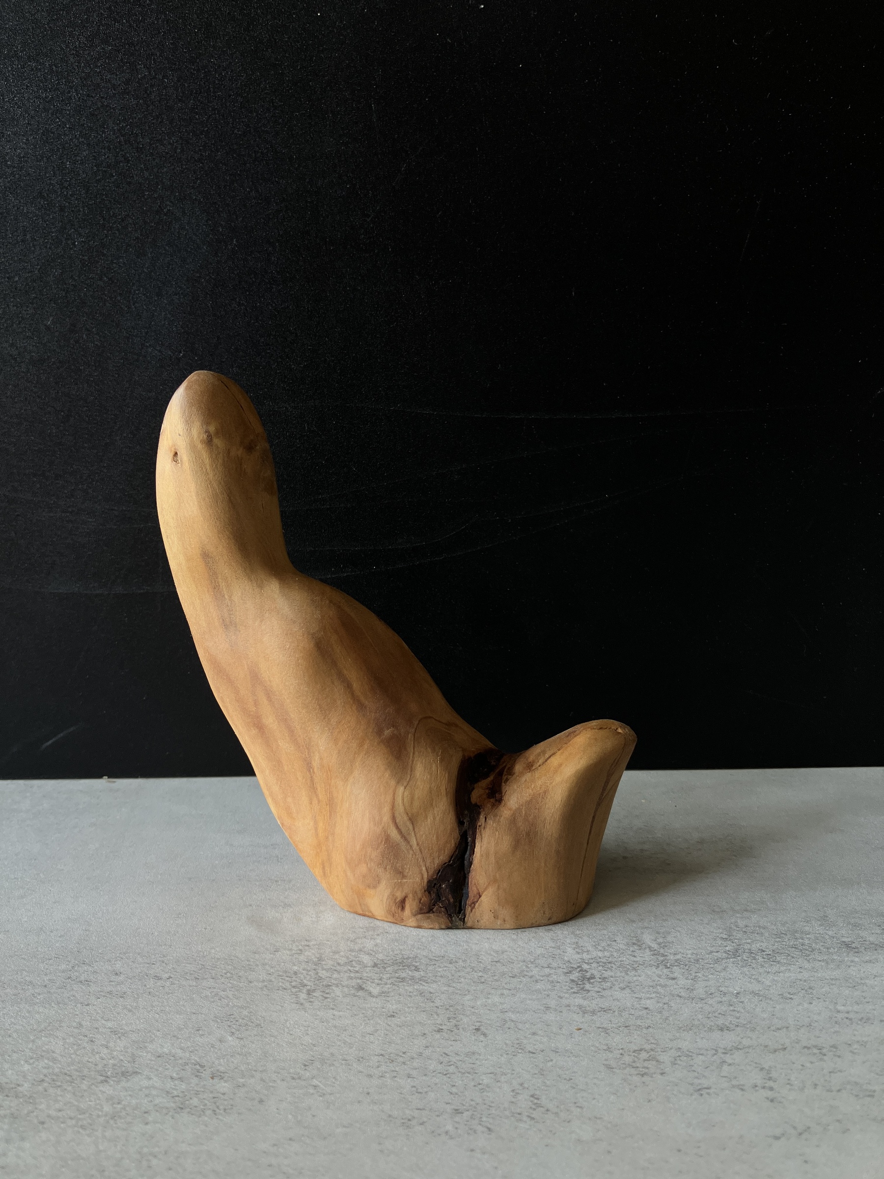 image_0694D06F-6051-42B8-B74F-6B6322D192DC_1776148588