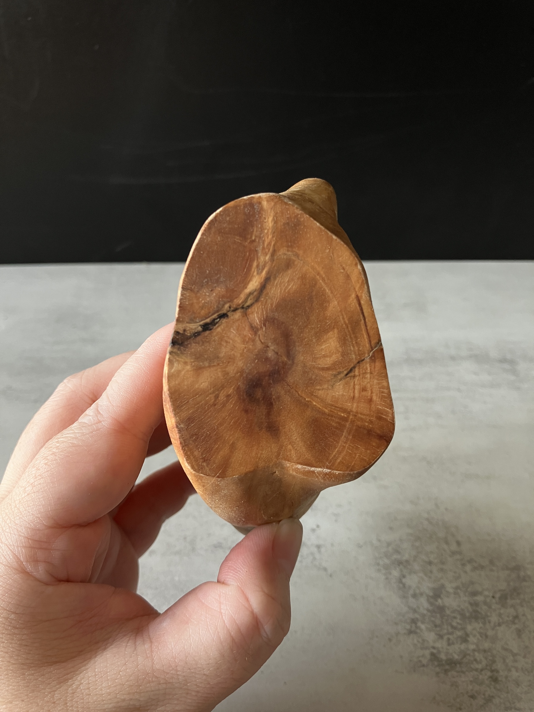 image_A8F77259-028D-466A-A0C2-A84DB5A3A8A7_1776148588