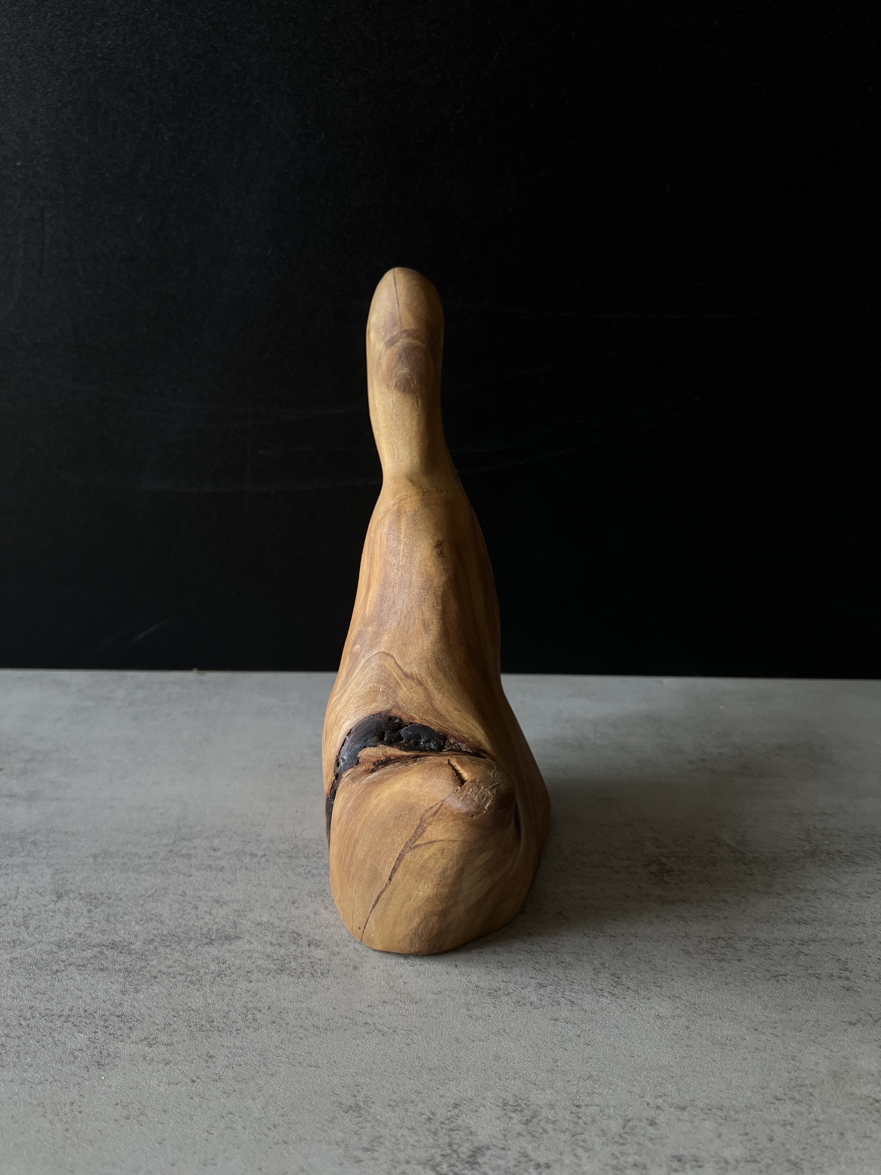 image_018713DF-A958-4773-916C-948817242C36_1776148588