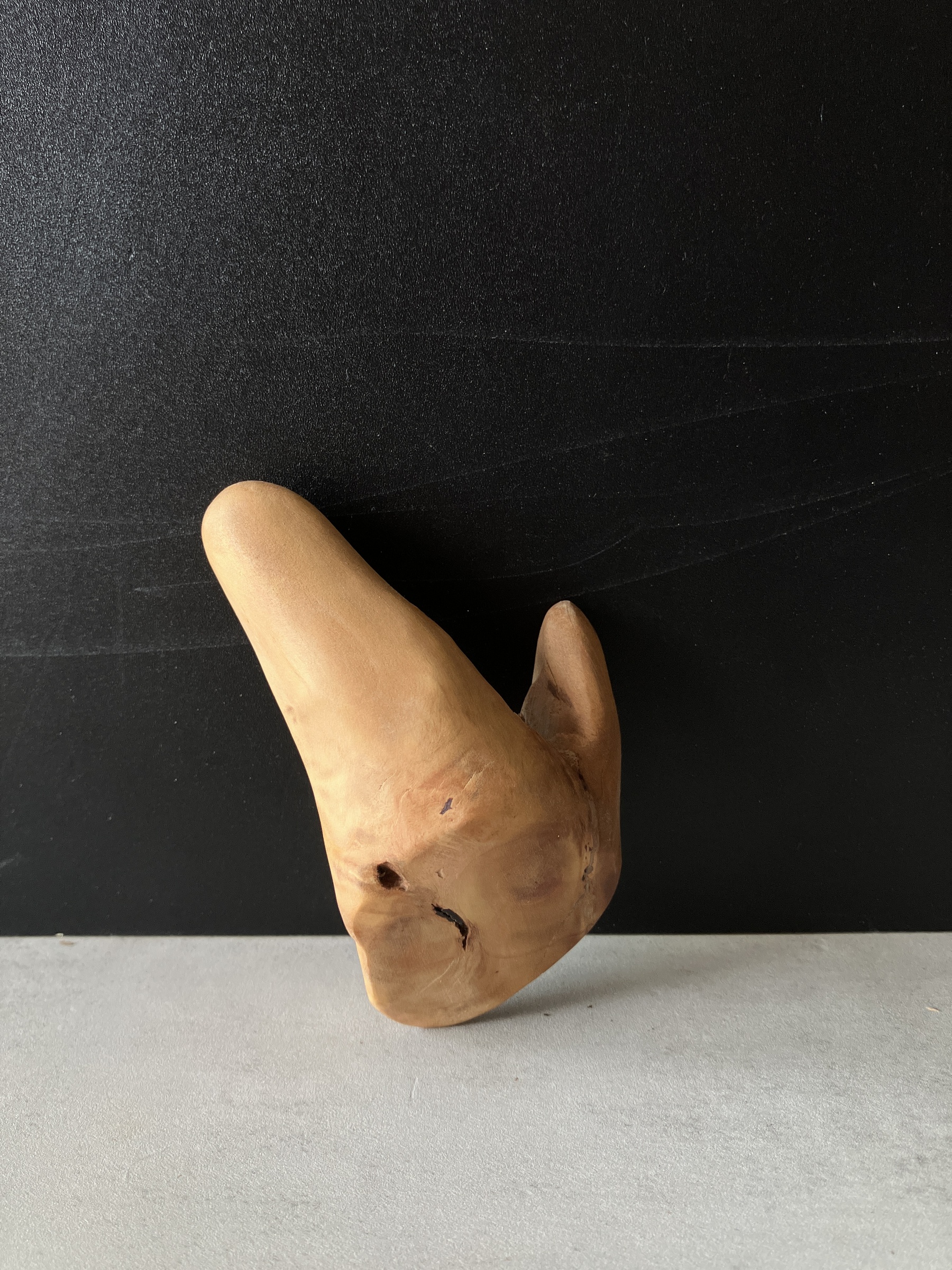 image_F497FCEA-5503-4515-9CF0-AD5ECB35B187_1776148700