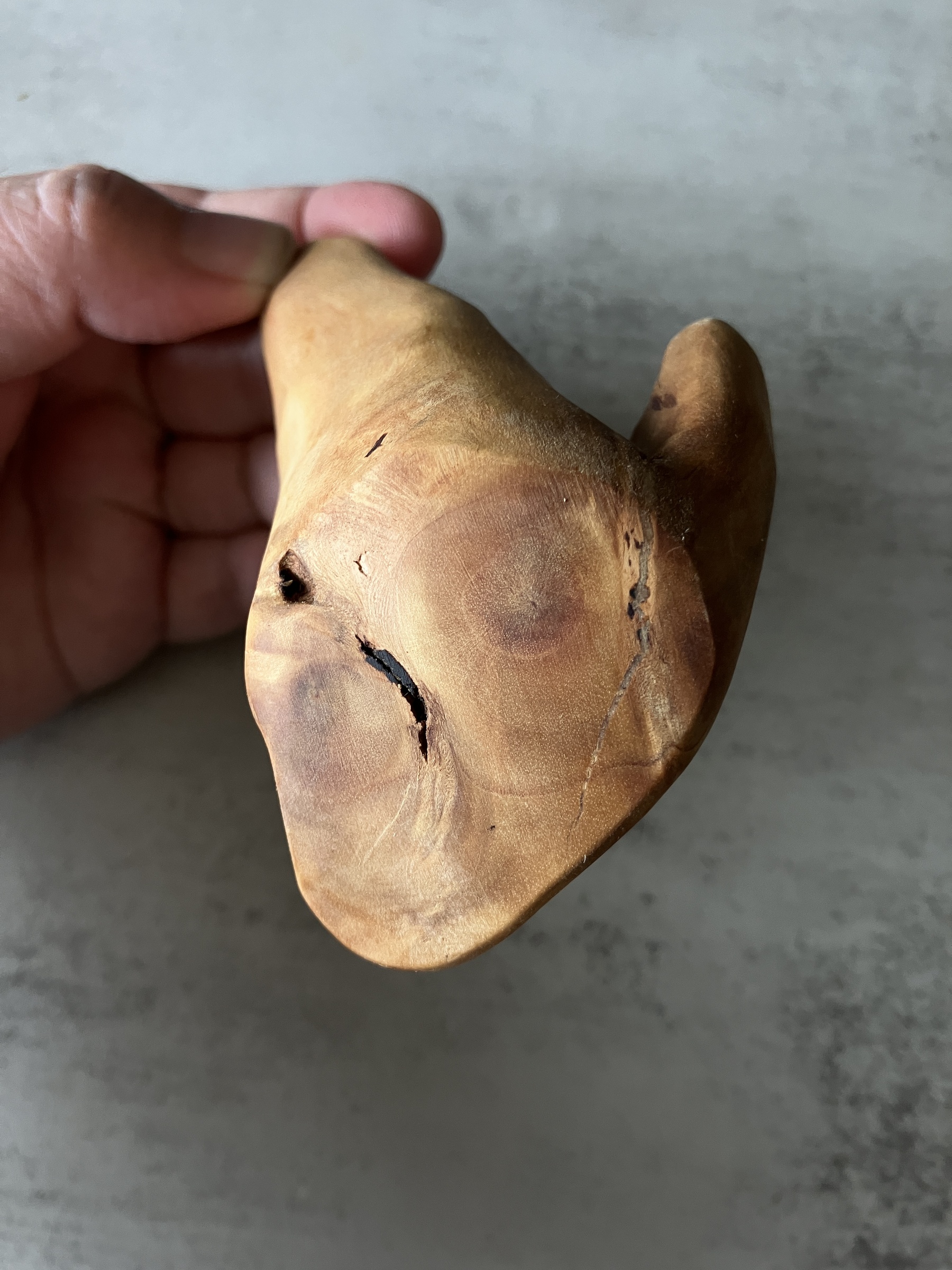 image_AB9D26F7-0C57-461C-AD77-83E9C386284D_1776148700