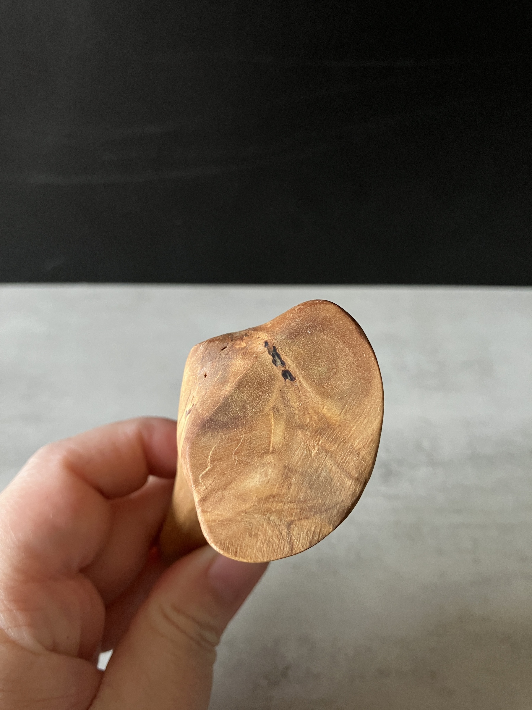 image_92377DCE-97FB-44DB-BD07-5DA53DD6E1EF_1776149341