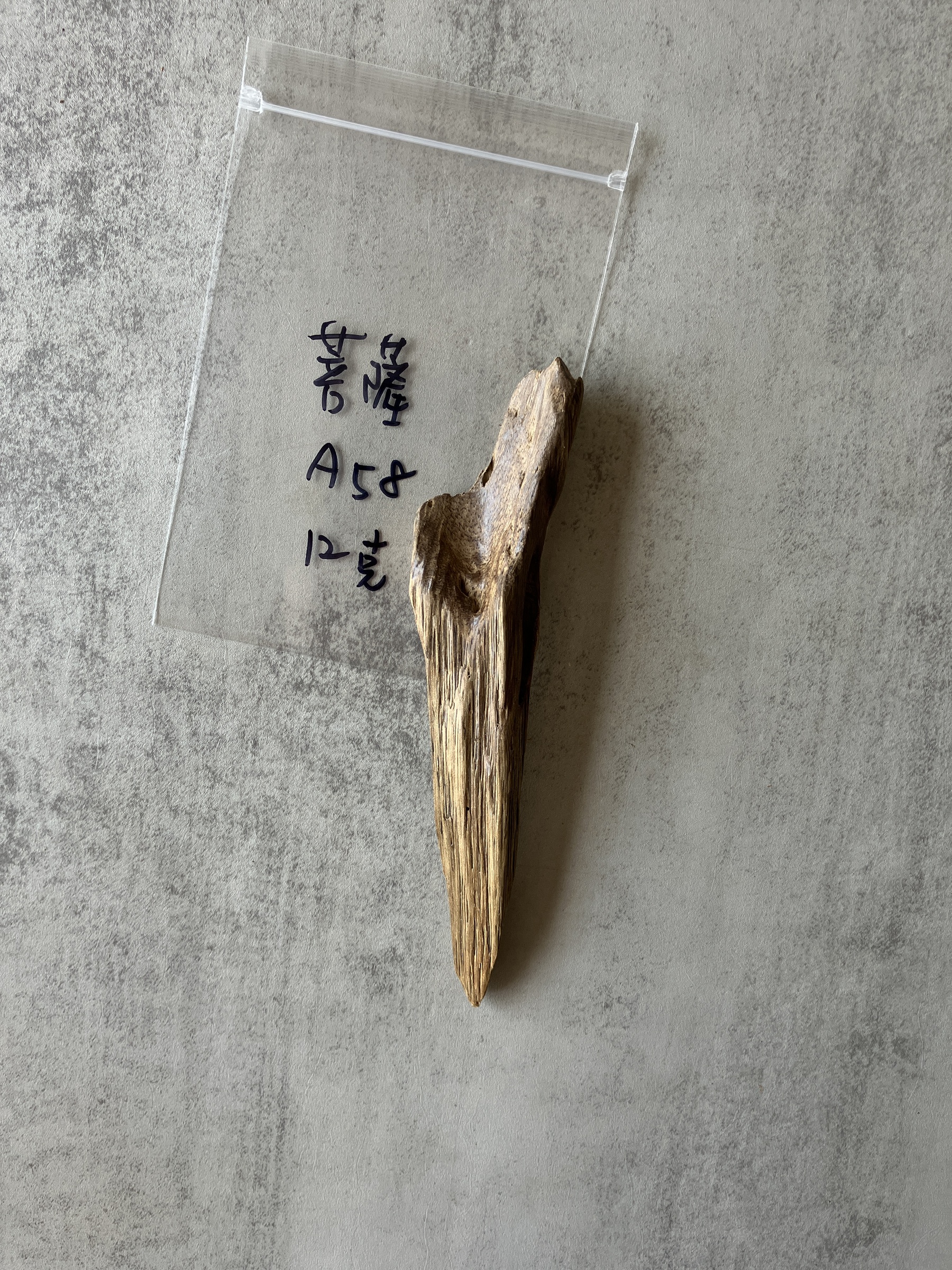 image_3C9F1E17-225F-4D97-B954-522353A70329_1778568087