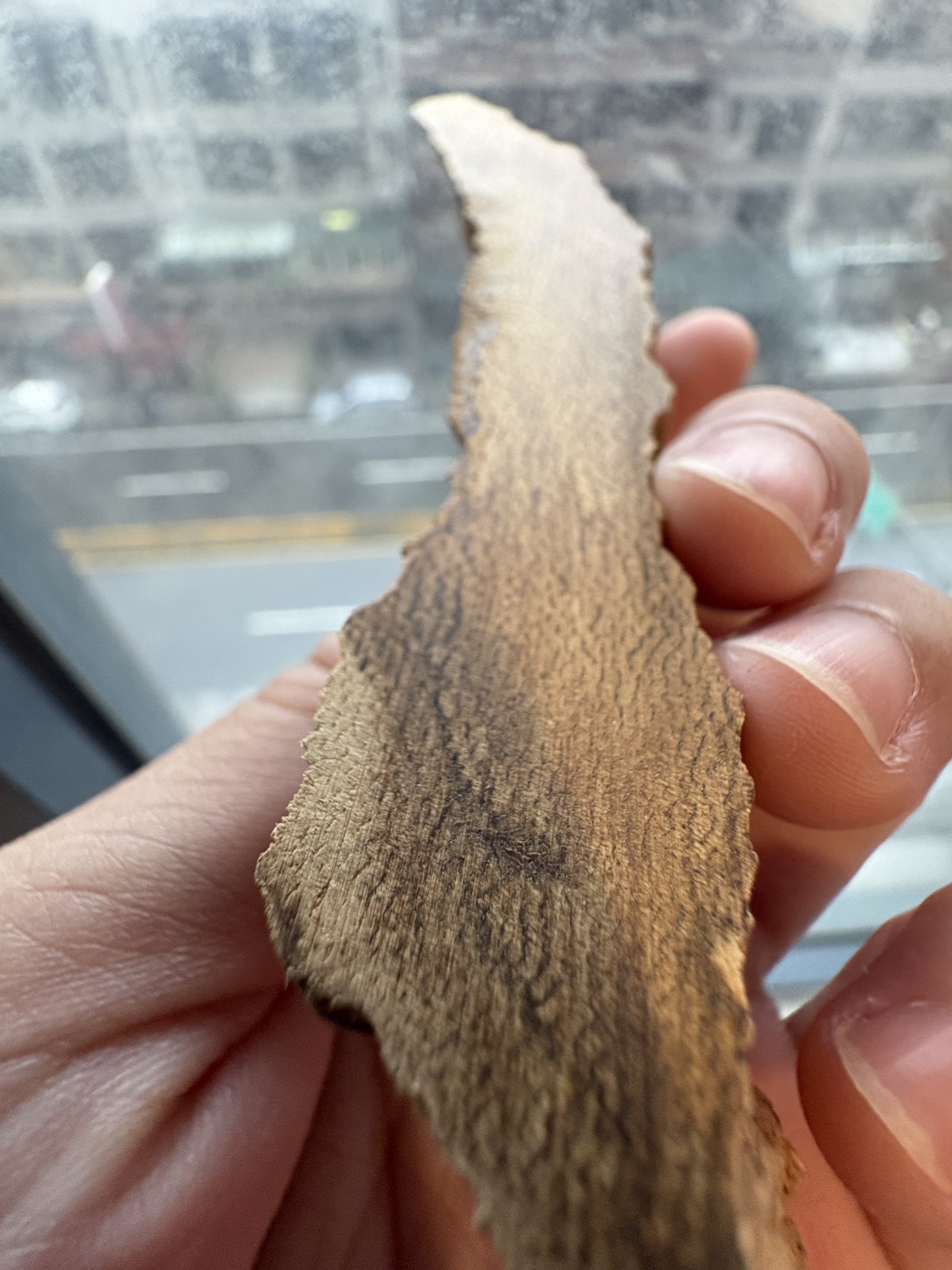image_07E9C770-7A86-4A34-BEE1-23FC10BDF9E2_1779098300