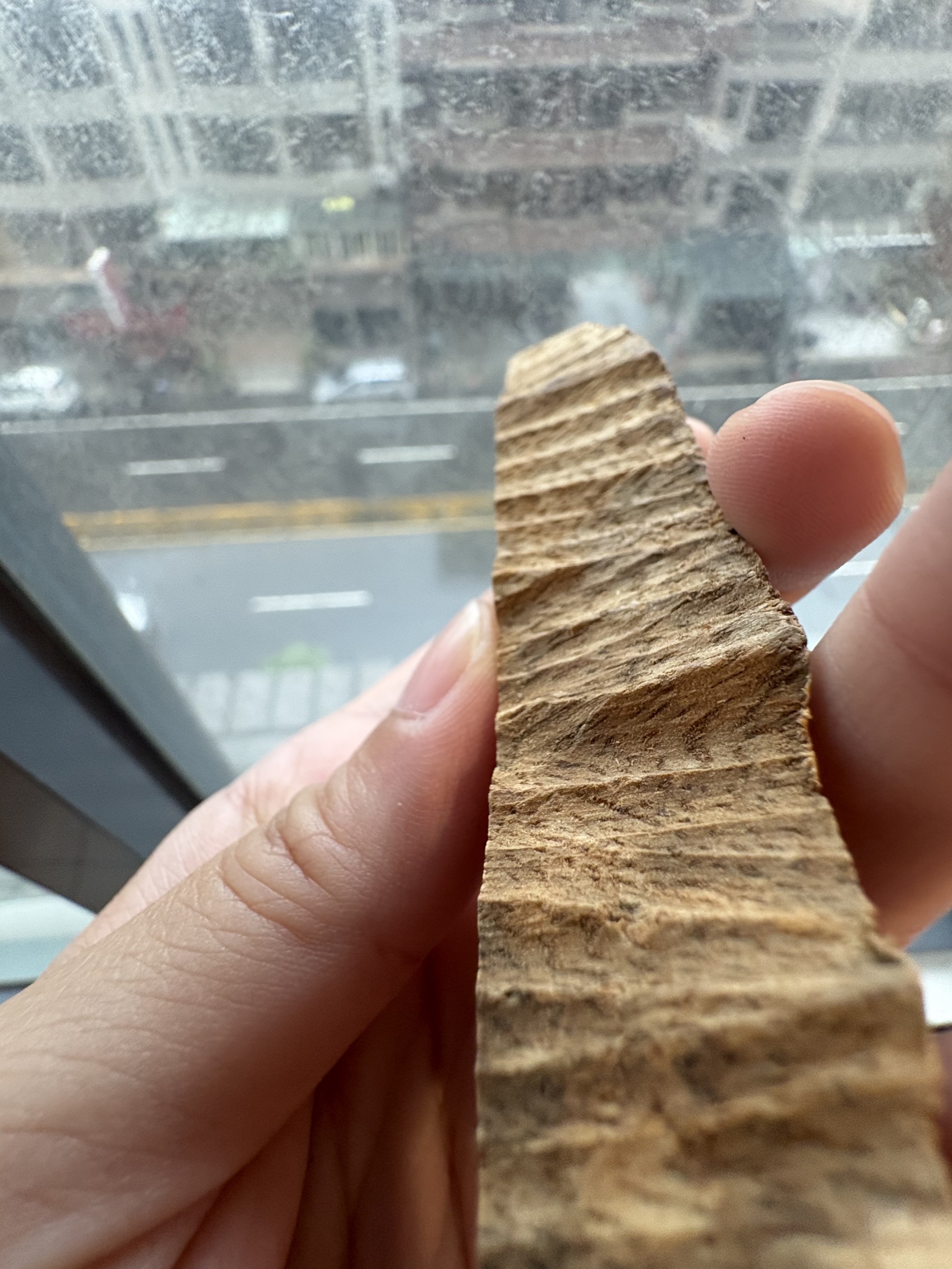 image_D3602460-23E2-43E7-8B9E-1E34072802D3_1779098301
