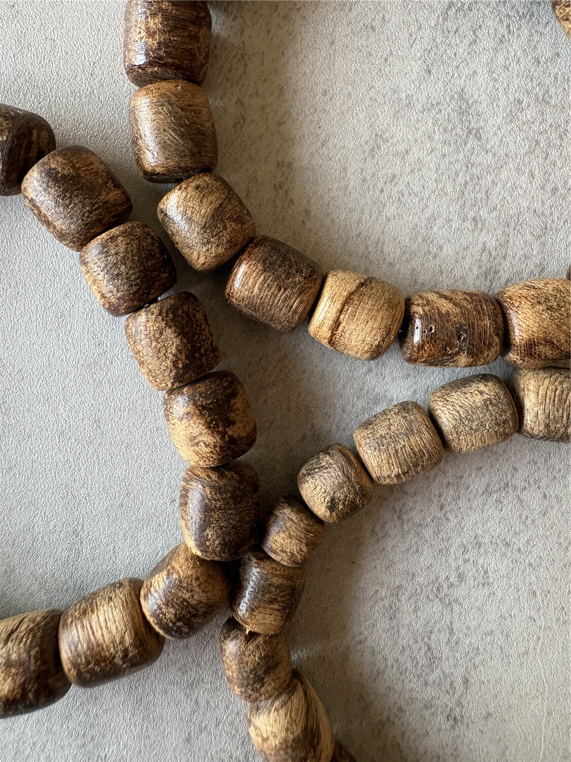 IMG_6907