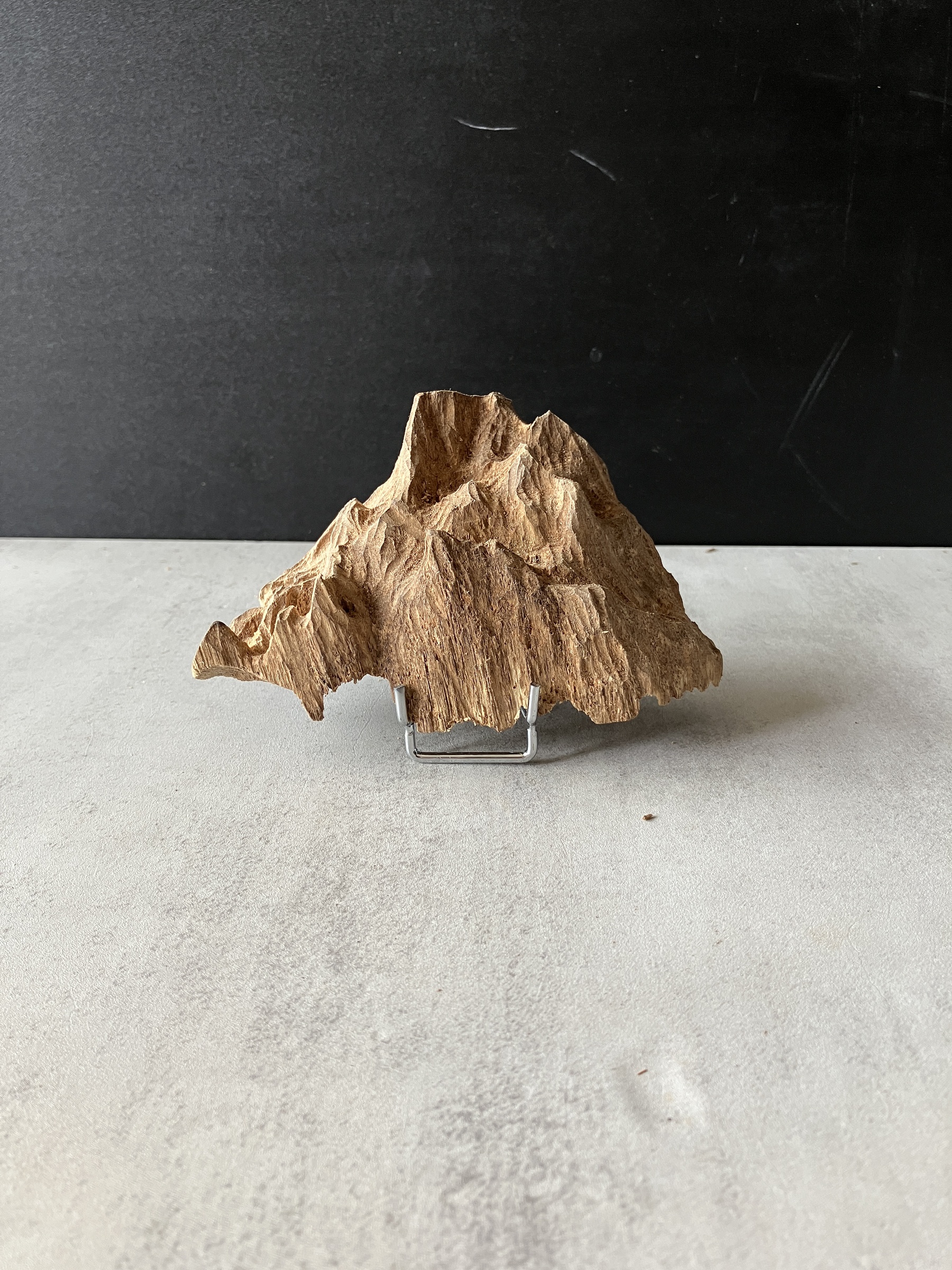 image_EA785438-8CE3-4F61-9296-5DA2606AA3D5_1779350126