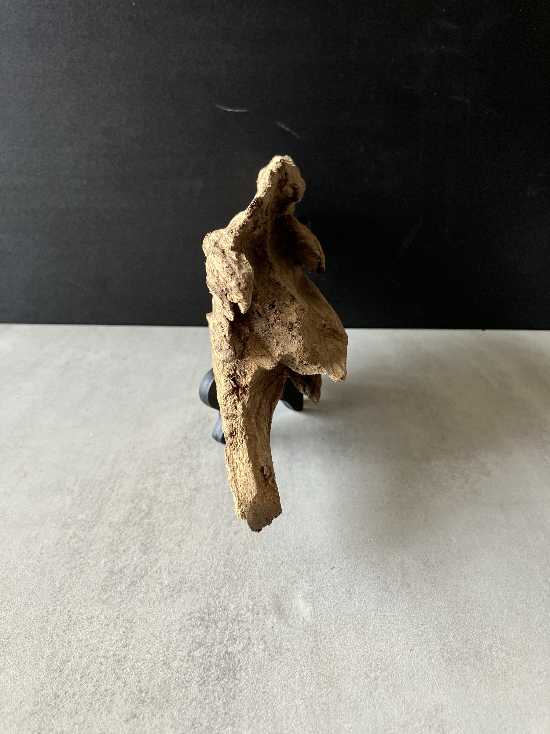 image_D5AB637F-8A3C-4878-BDE9-1952F36C4EC6_1779350296