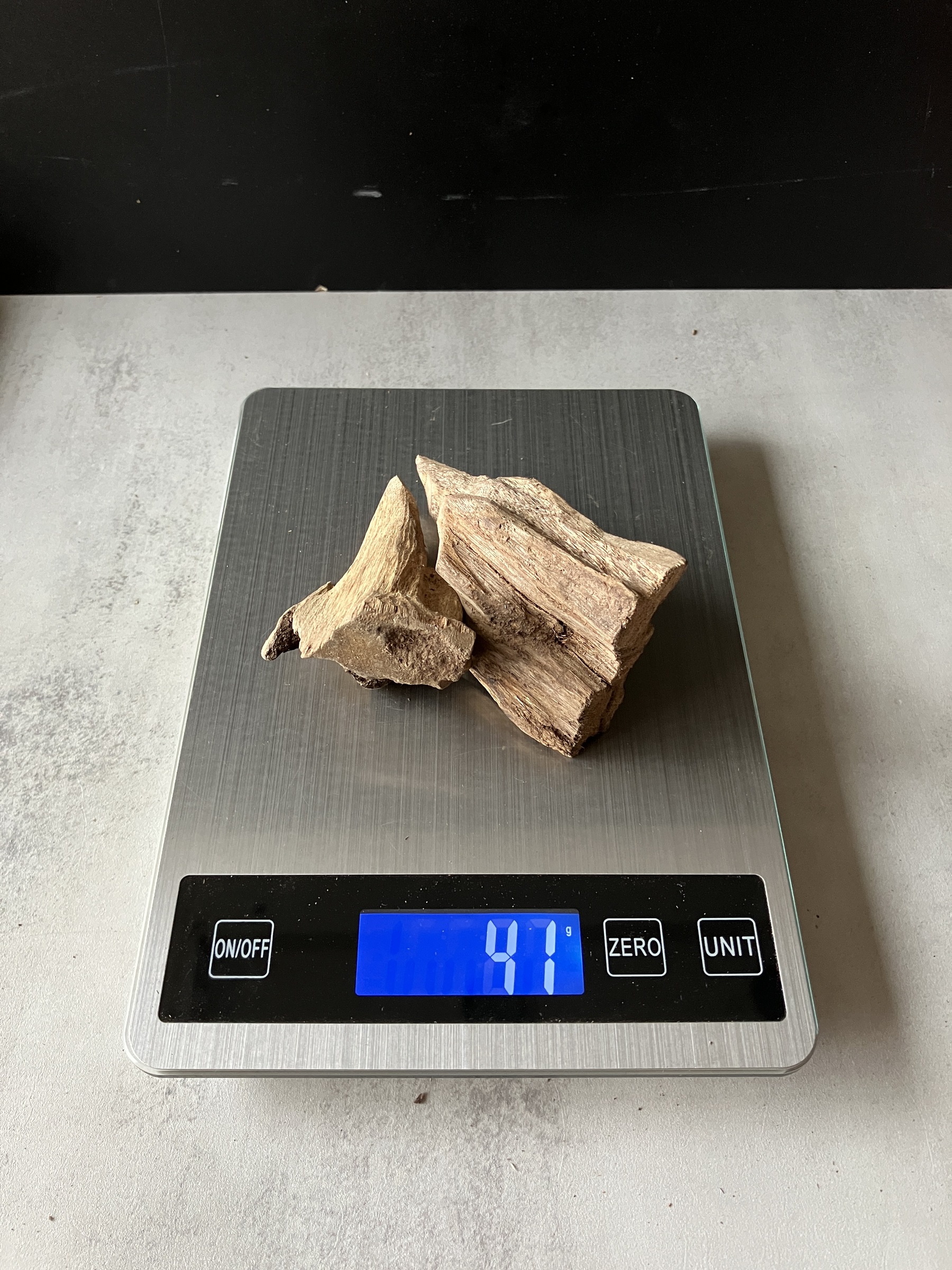 image_5824AD73-6B61-45BF-8D7E-21EDDD53866E_1781508080
