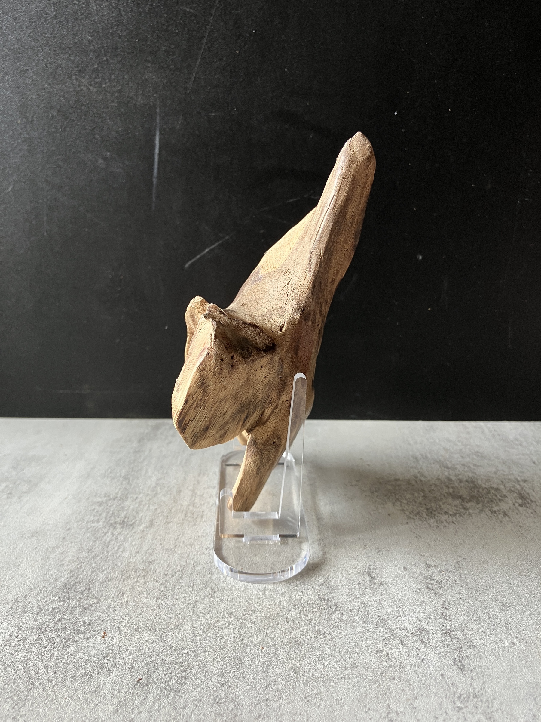 image_02A3D269-CFE7-4218-88DF-2638ED668152_1782891554