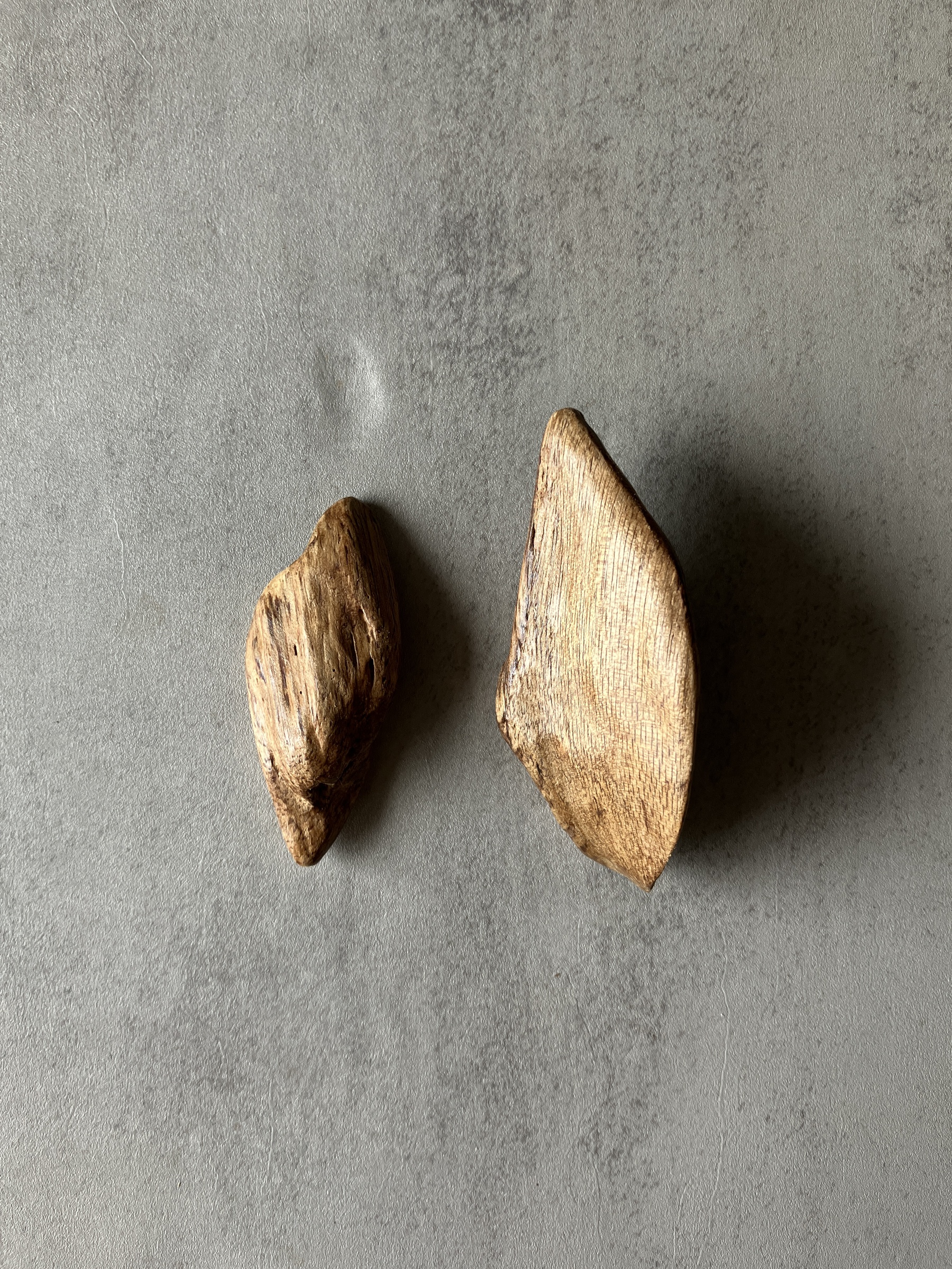 image_63FA1ADD-95D2-4368-BC3D-0CEB4AFFA8CC_1783327658