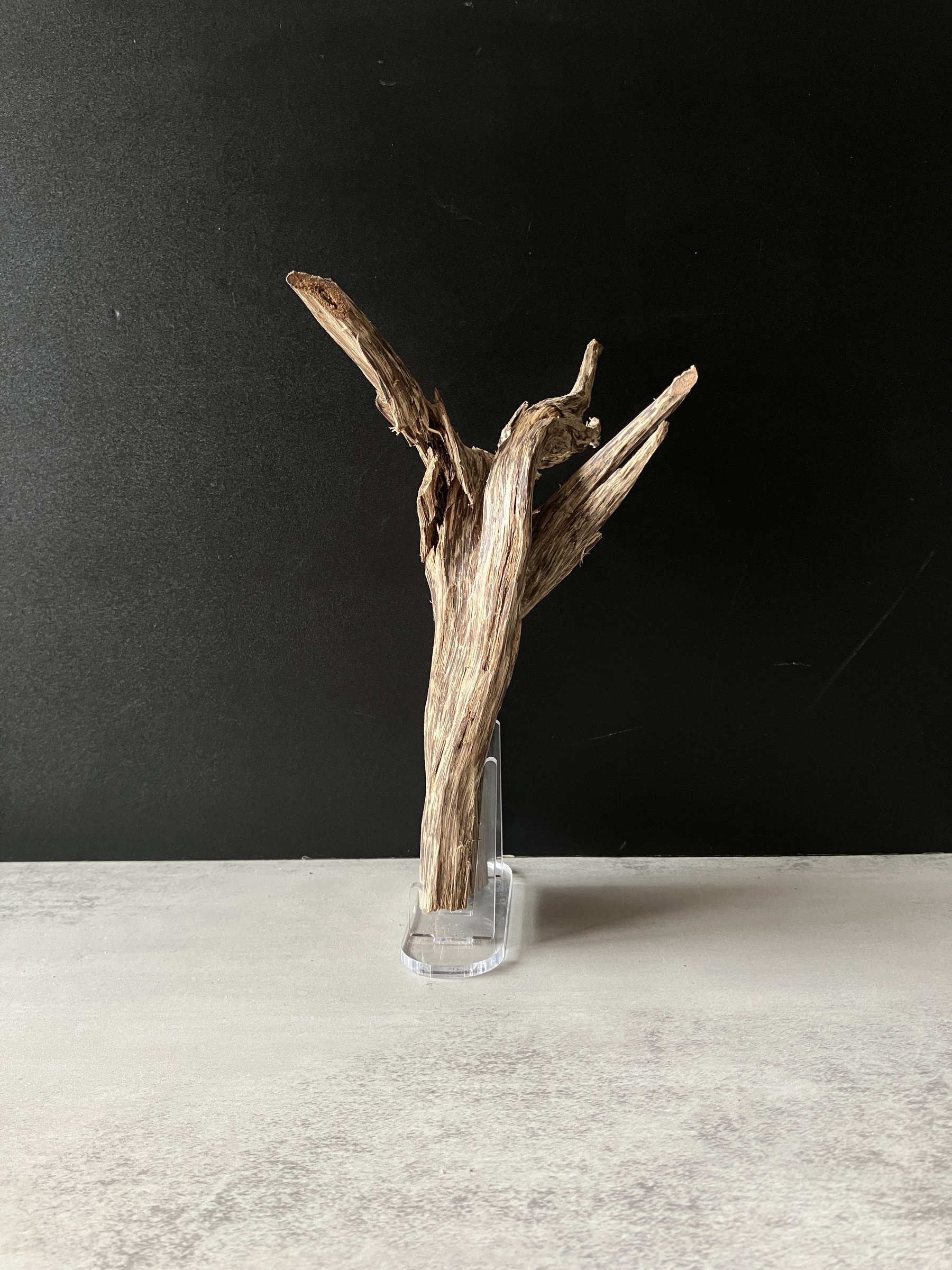 image_3EDE20E9-24A6-4116-ACC6-A72A923ED4EA_1785737485