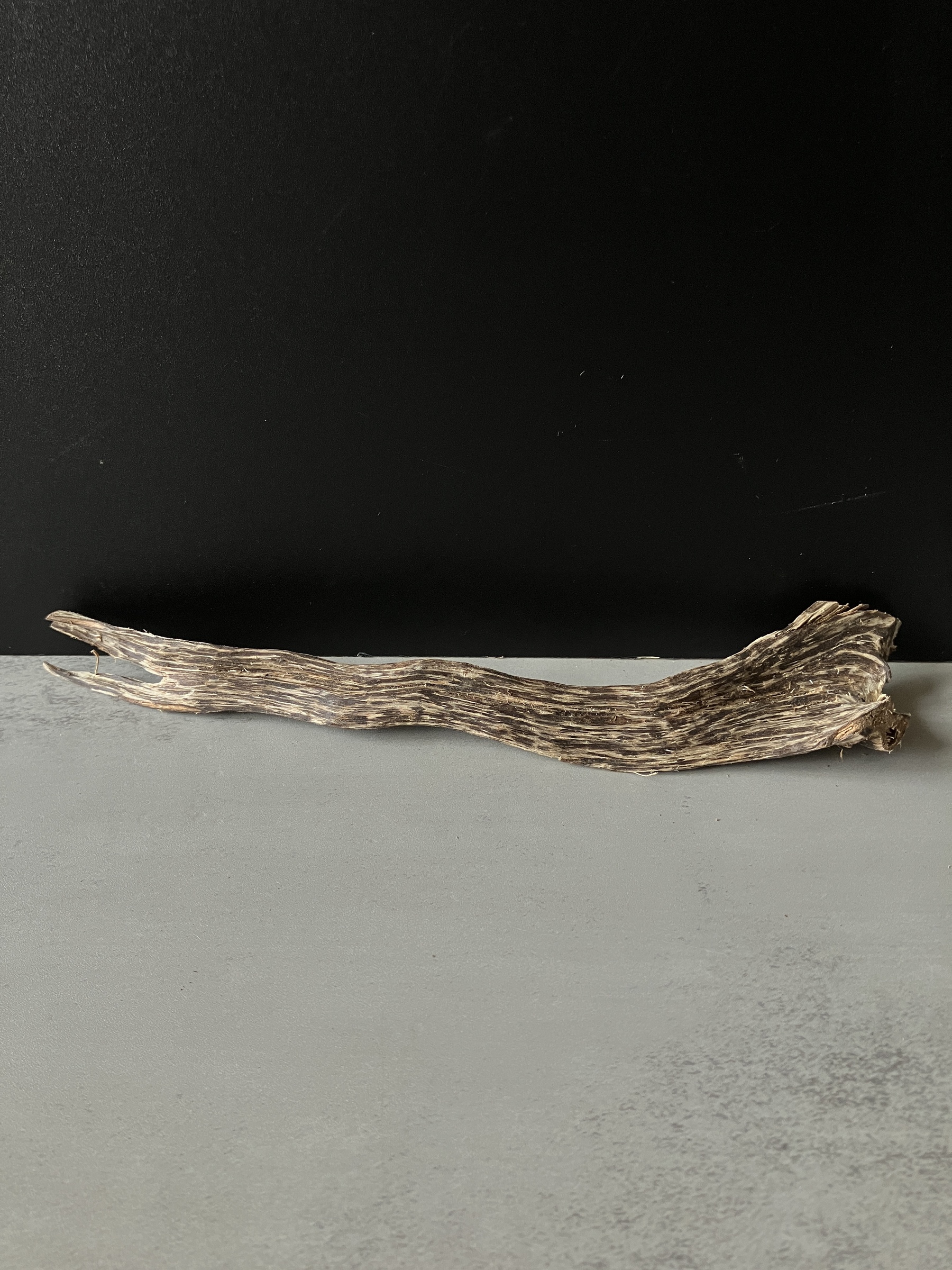 image_6E0FA532-48A5-44A1-A4BD-341F6F43D0D3_1785740356