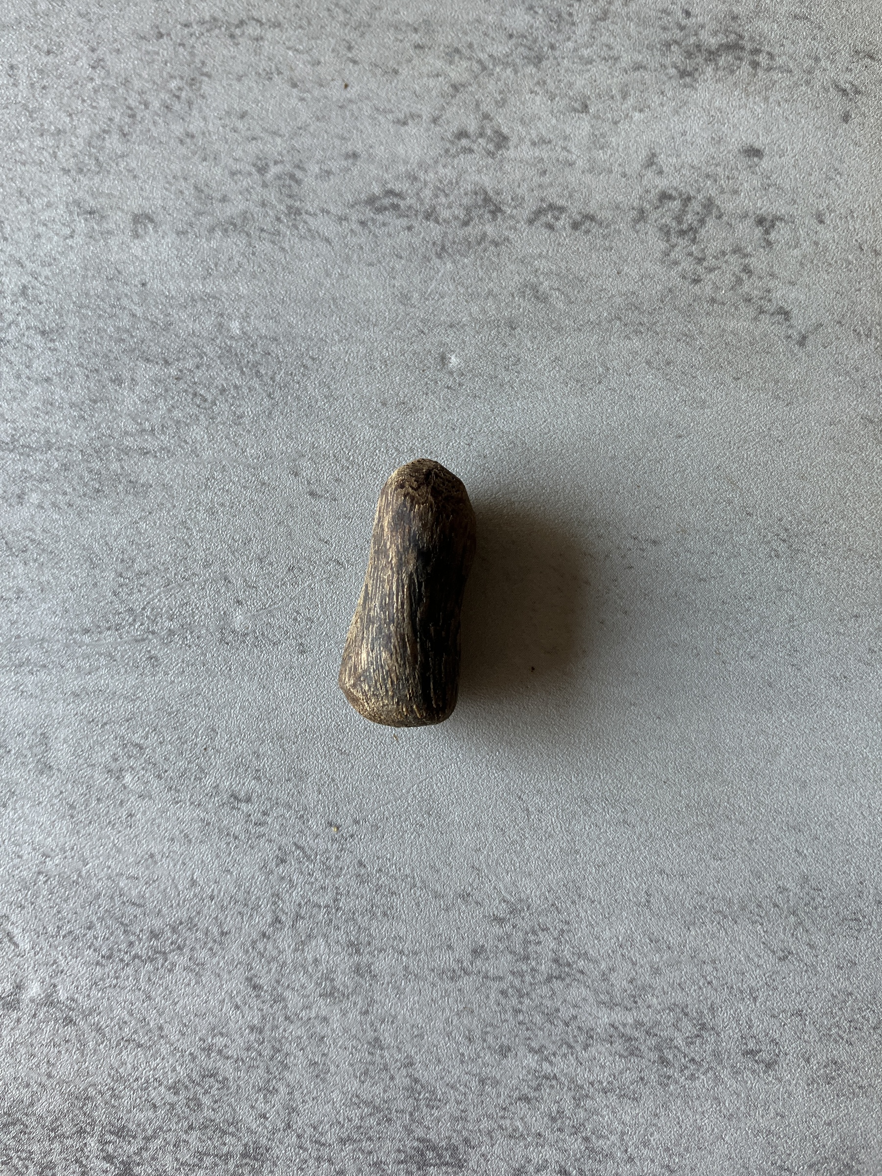image_2936F511-A368-49CA-AF3D-BA181FC3B387_1791962376