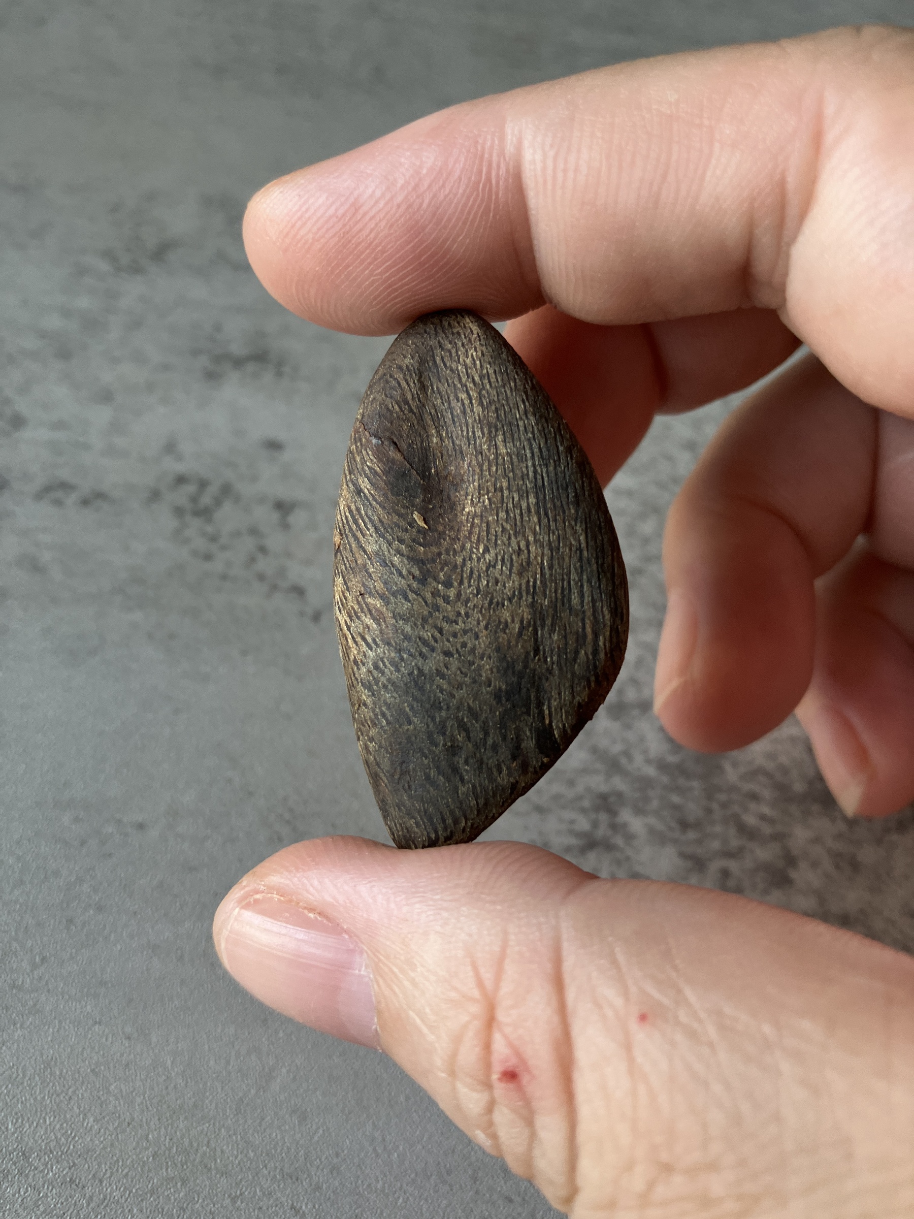 image_51FC4CF6-2DF2-410B-BE3D-83CBEC068C4A_1791962907