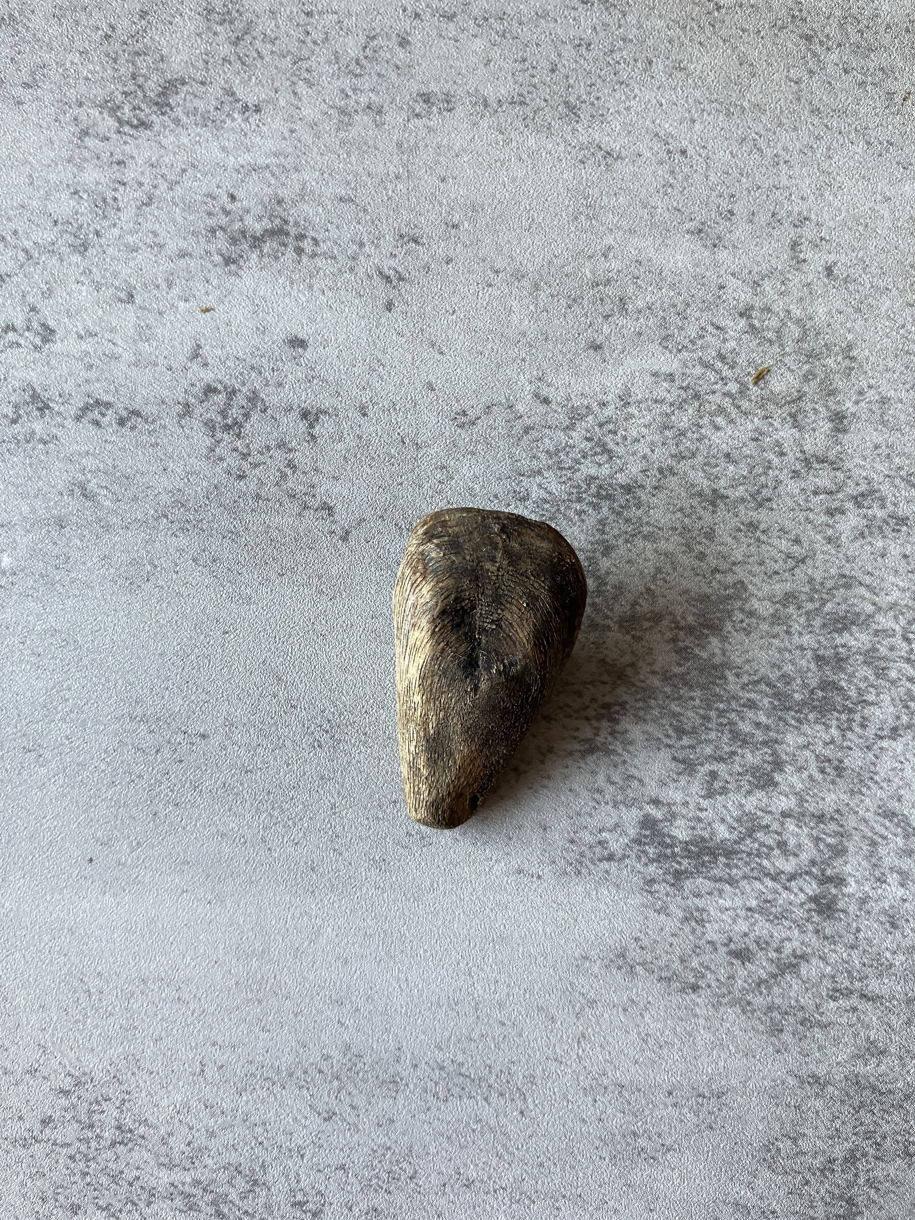 image_6FC2D85F-CA09-42B2-B11E-CCB7B65B0D92_1791964347