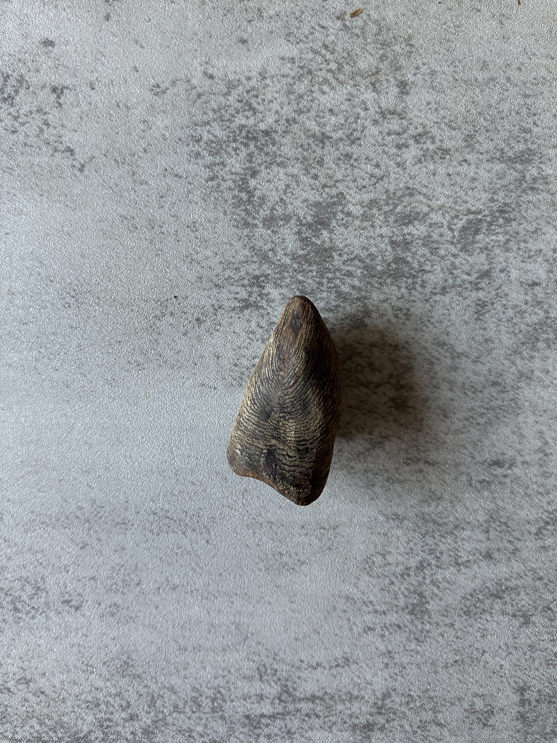 image_1D2D2D33-FF9A-44D1-9D2A-22B7B8459F15_1792045123
