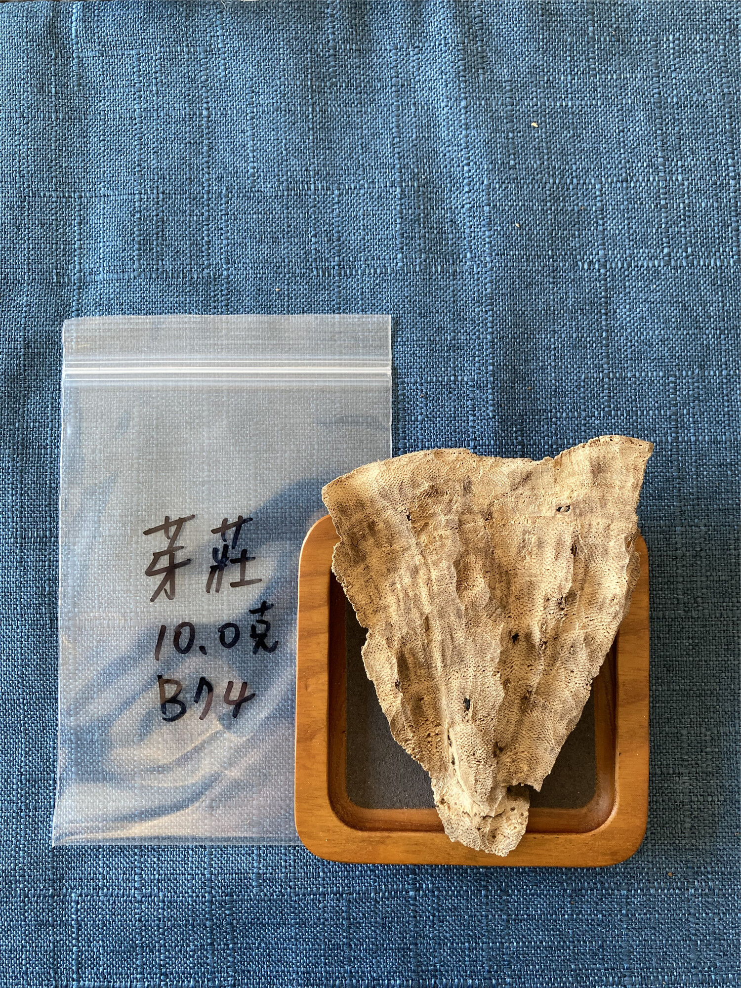 芽莊_B74(10g)