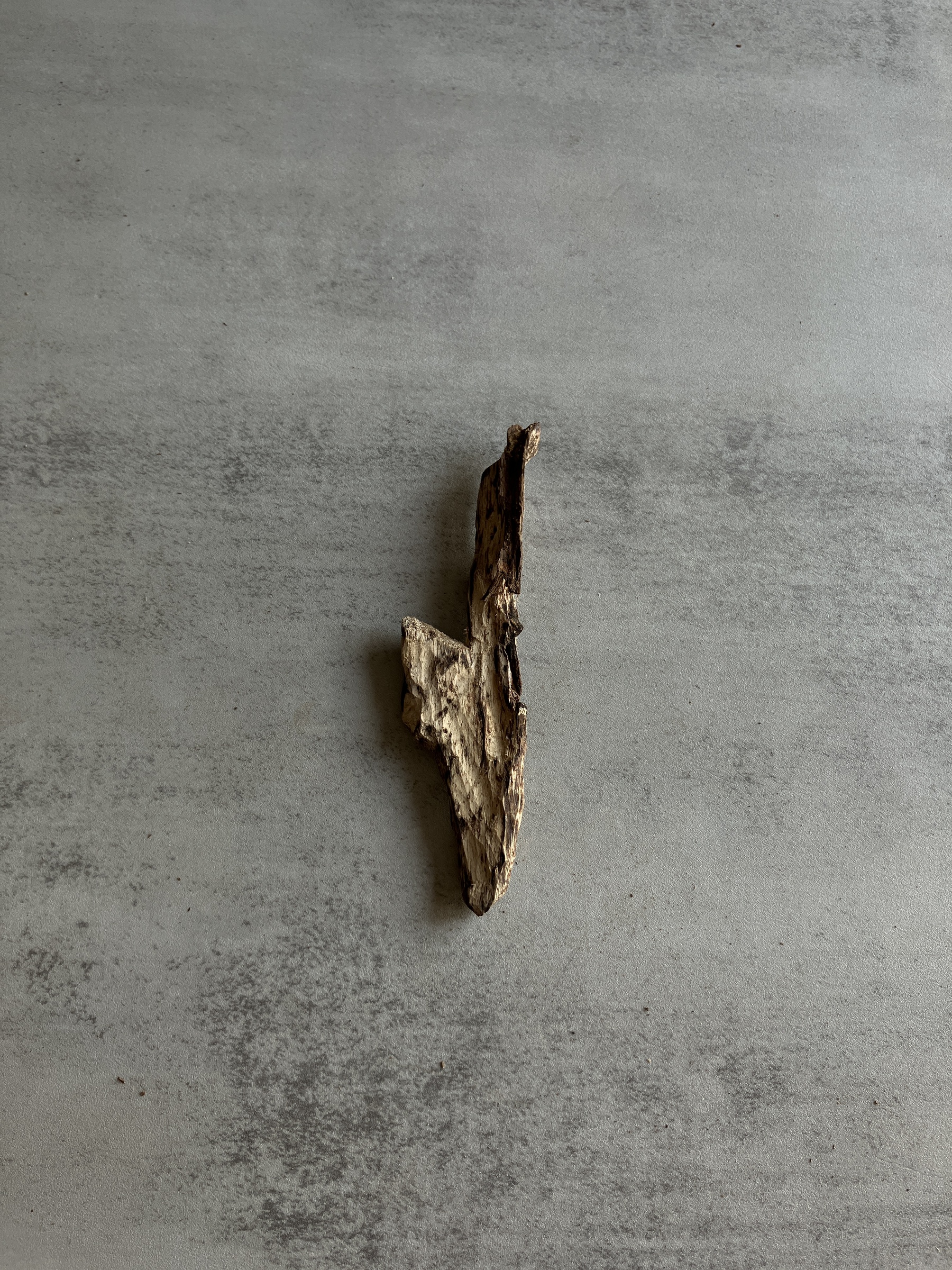image_6B0D69A3-5A2F-42C8-82F9-3488504AB31E_1748329043