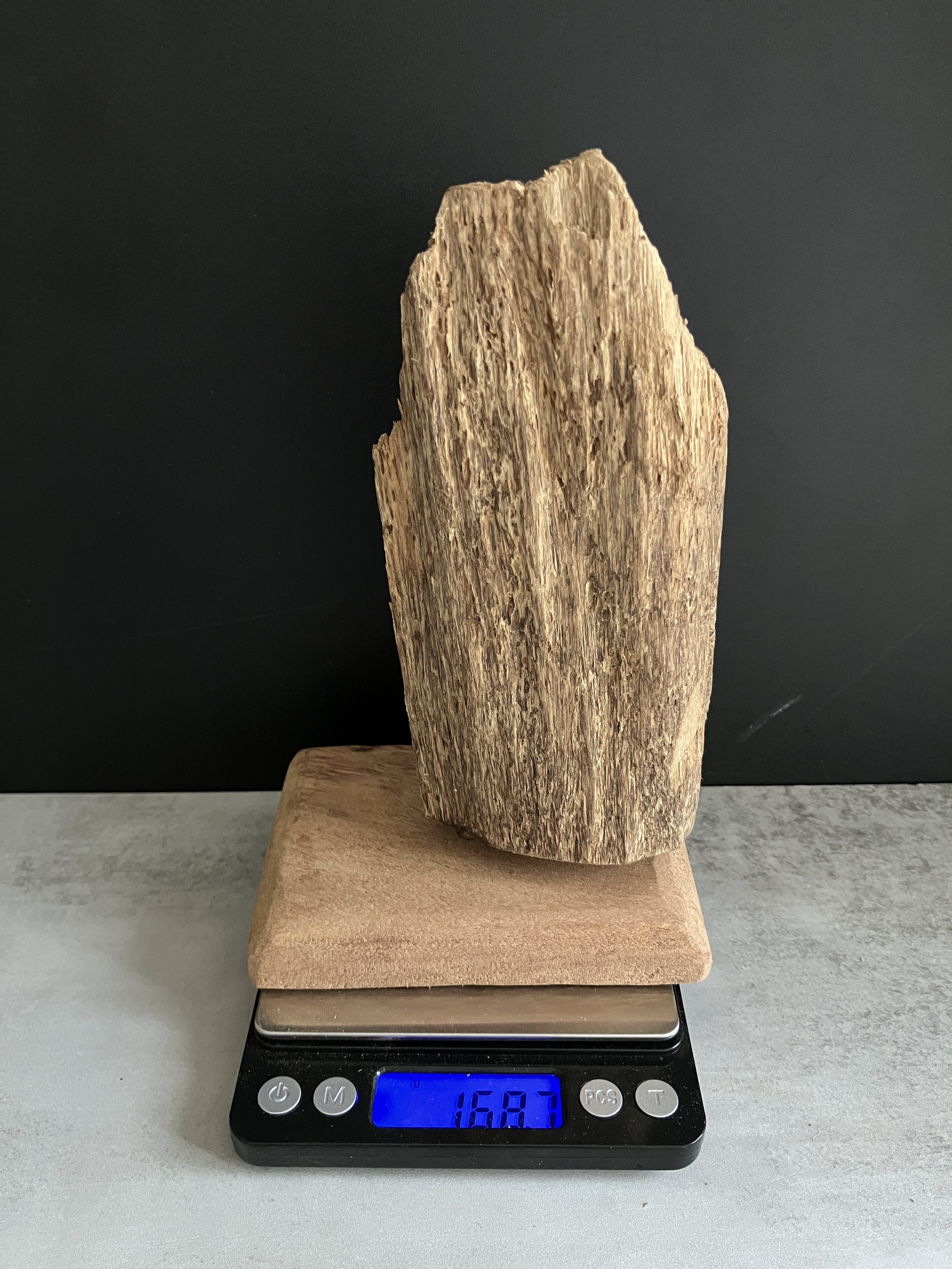 image_09FC6869-96F2-443D-AC9B-68D7B08A1983_1749110289