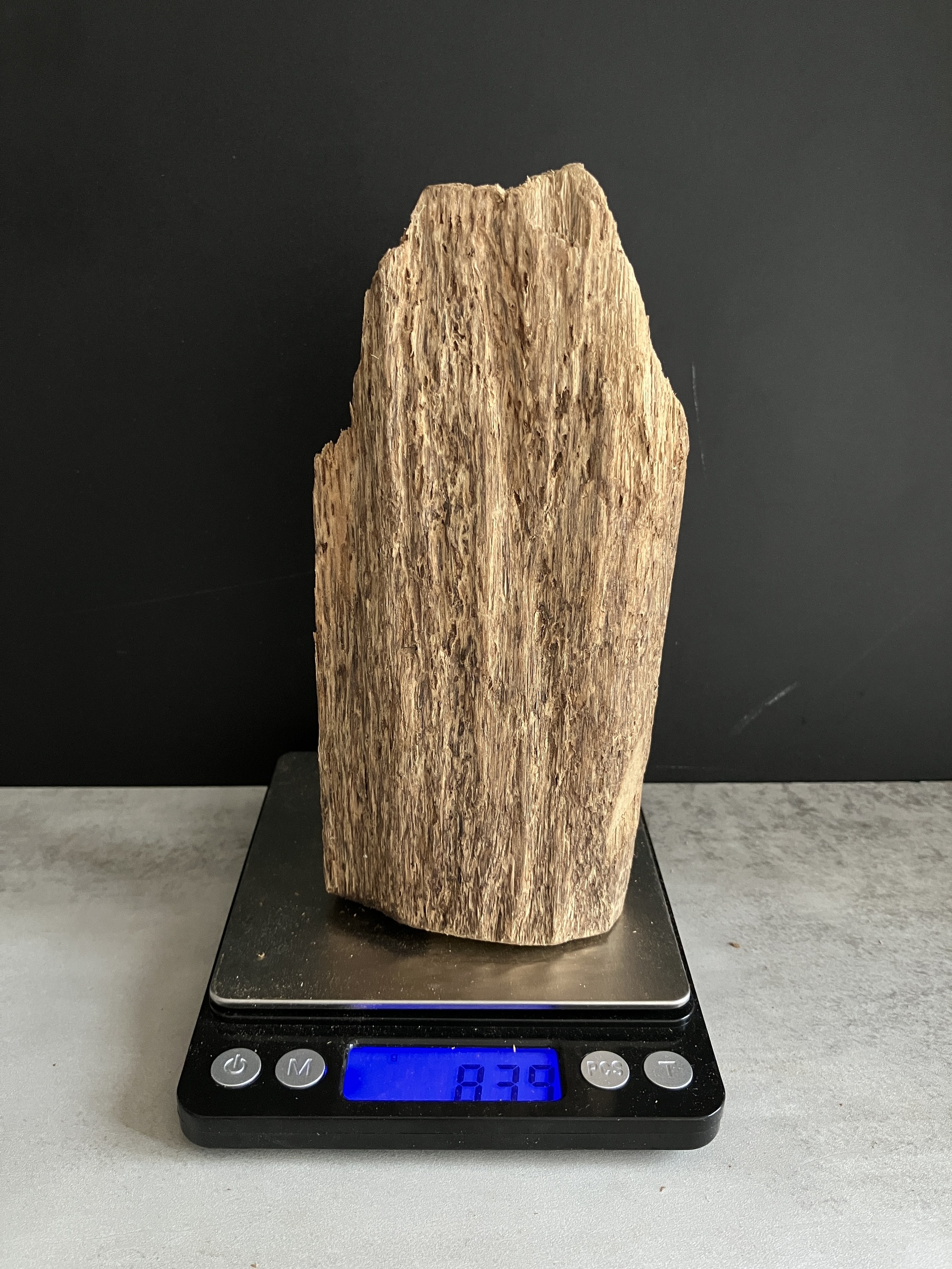 image_6DFFD62A-AB62-4D5A-9916-91F1F5C164F4_1749110289