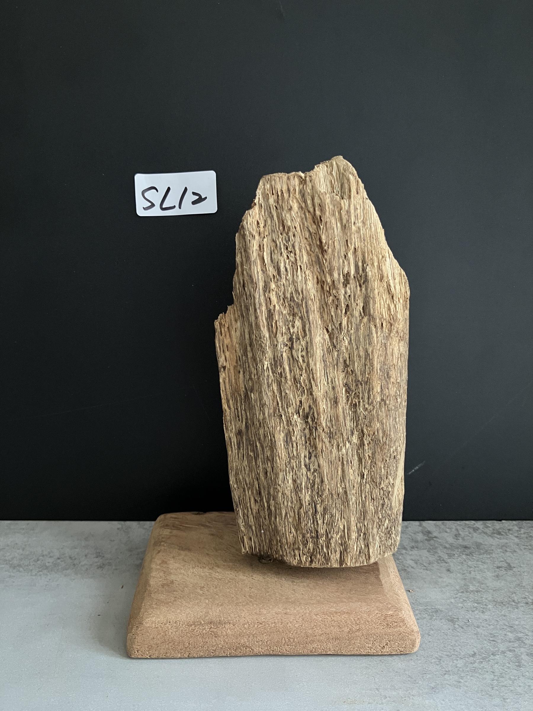 image_B8FE6589-6C89-4D50-8131-F4229A0D51D0_1749110289