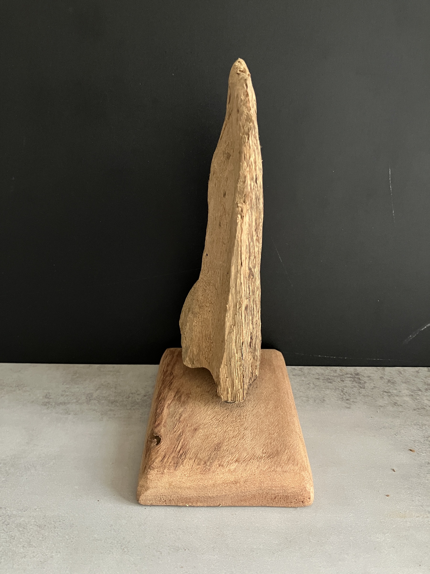 image_D7253D5A-E0D6-490C-8863-561684D13373_1749110289