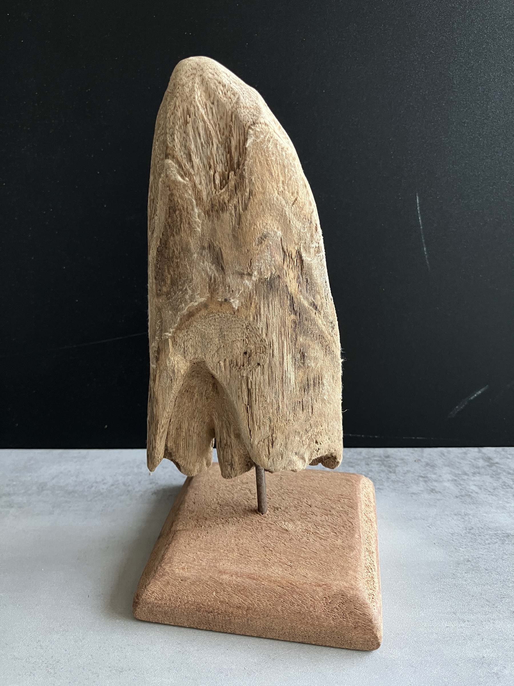 image_A9536EE1-A2EE-4646-8AB8-24C93D6F49F7_1750065374