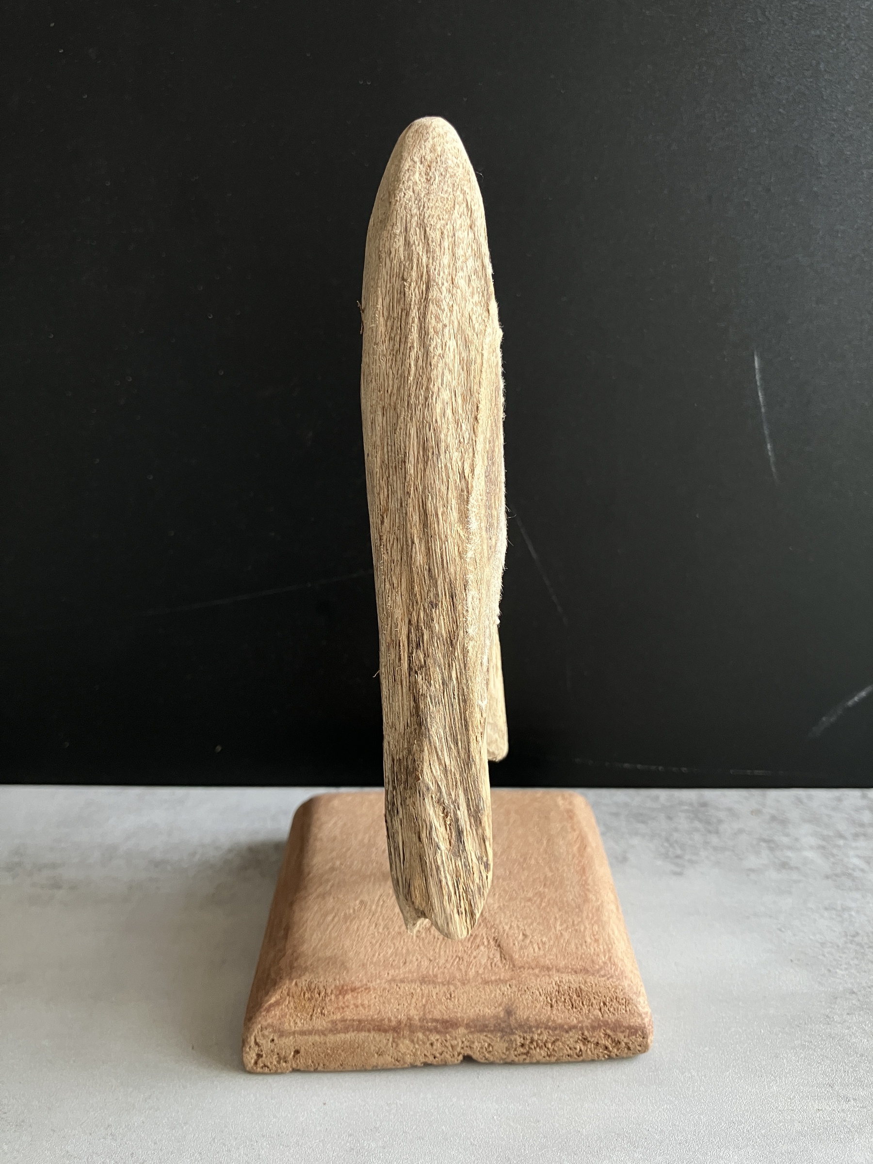 image_5EA921CA-0C83-4C20-9357-52DB39A62831_1750065374