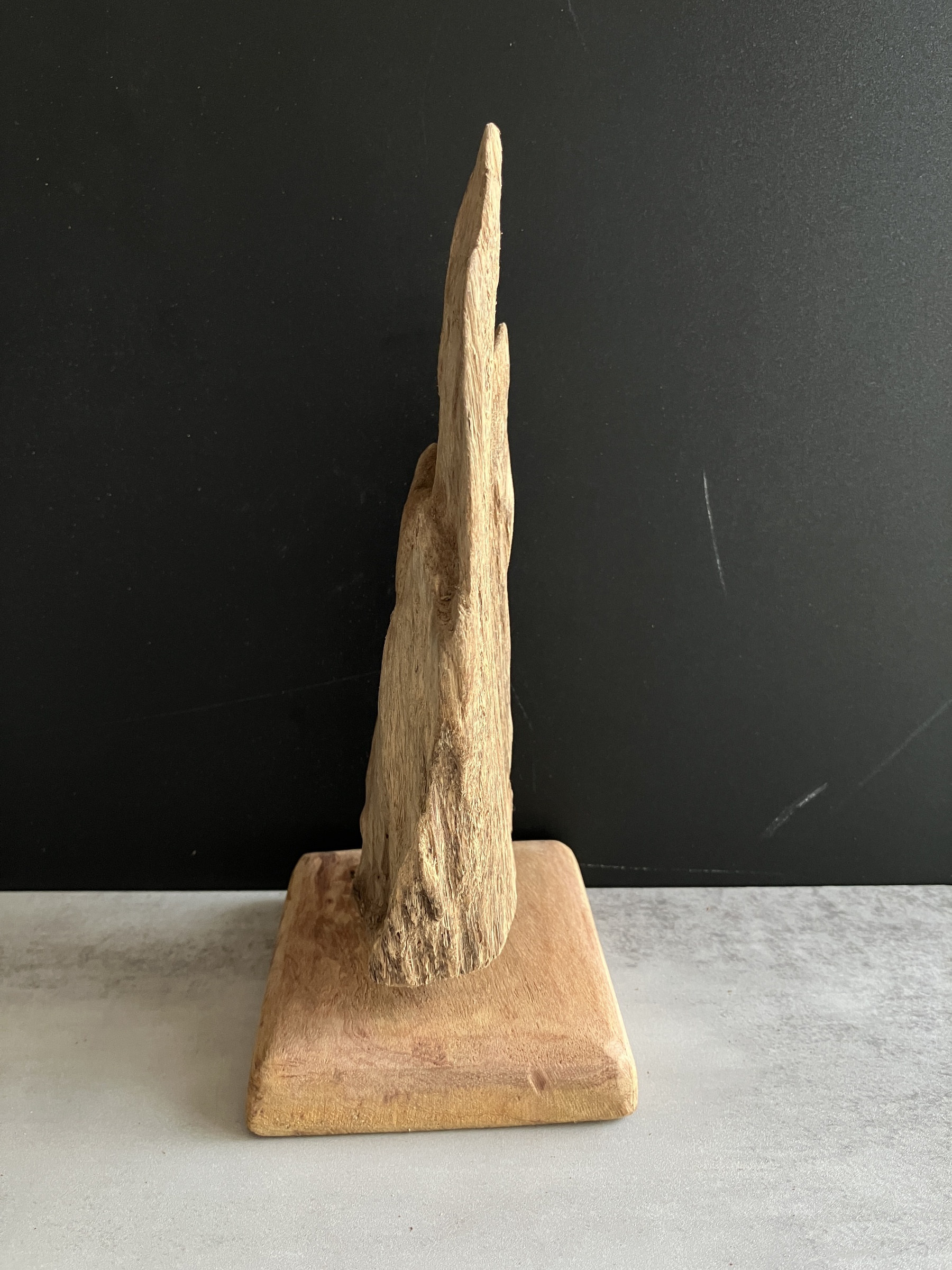 image_7BA98459-536F-489E-A2B3-88D8EA4514FF_1750066376