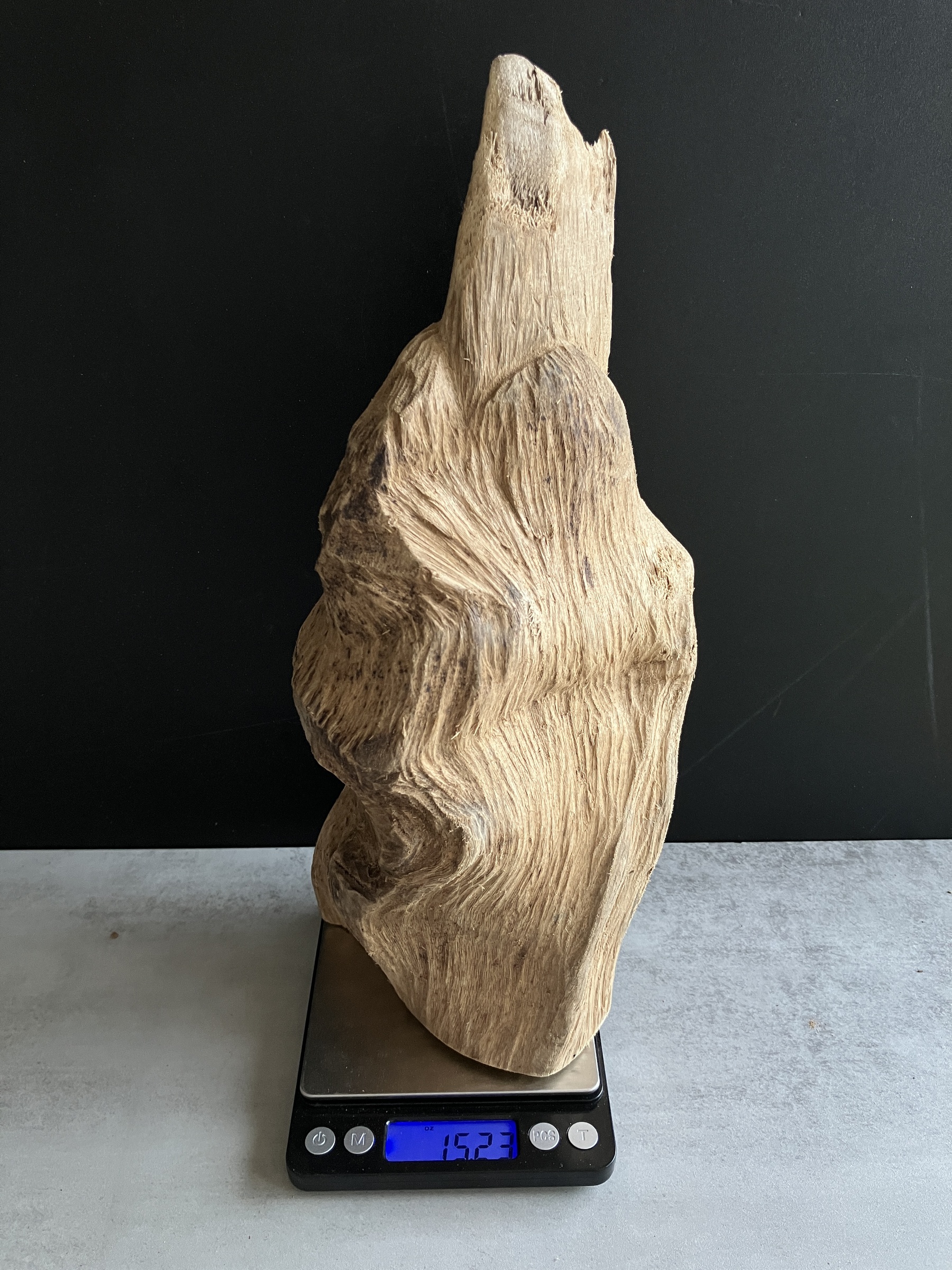 image_268AE392-24C4-42C7-9EAF-493B462E738E_1750144802