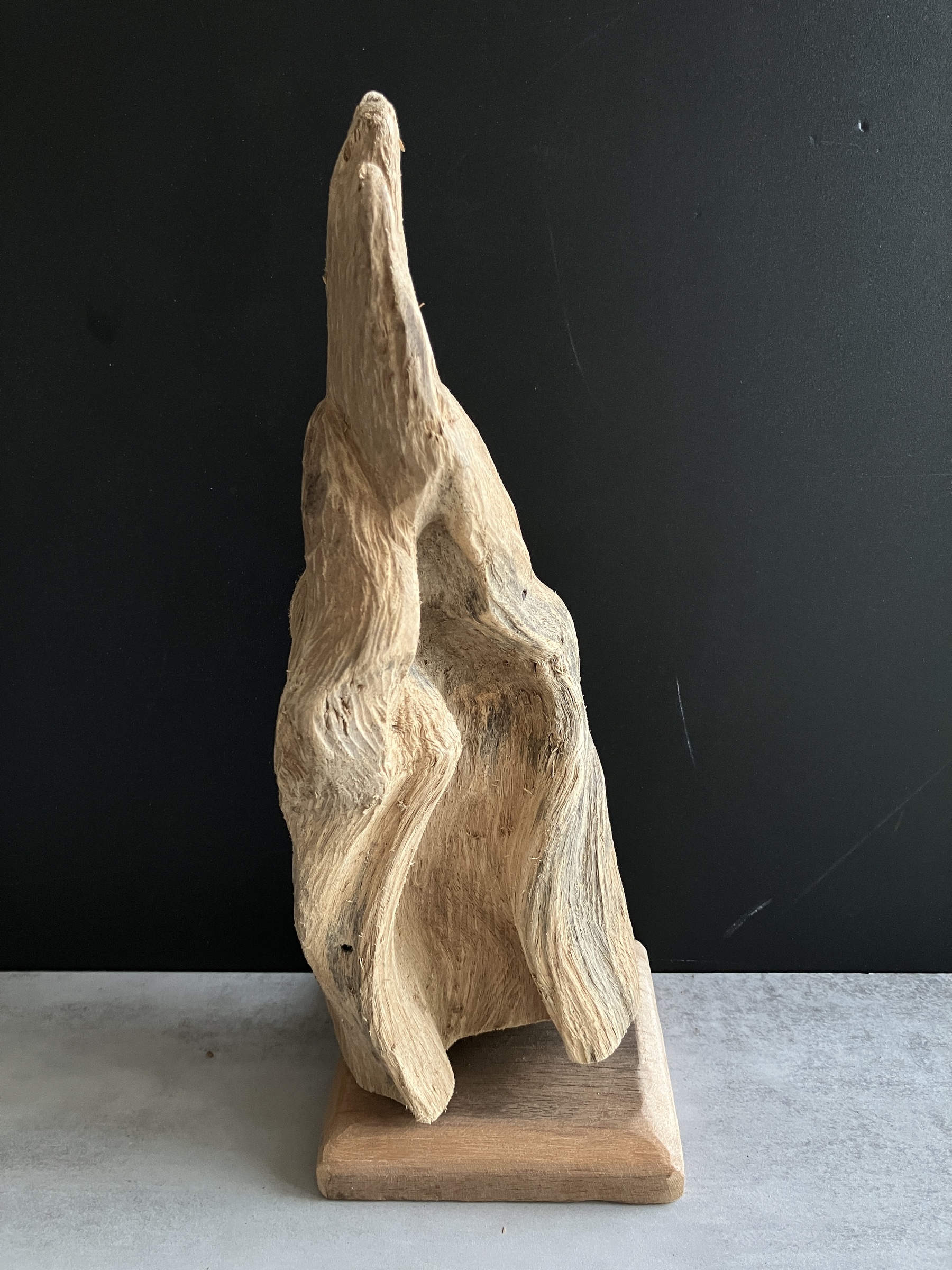 image_98E3896A-ACA3-41F2-B836-BA86D931EF79_1750144802