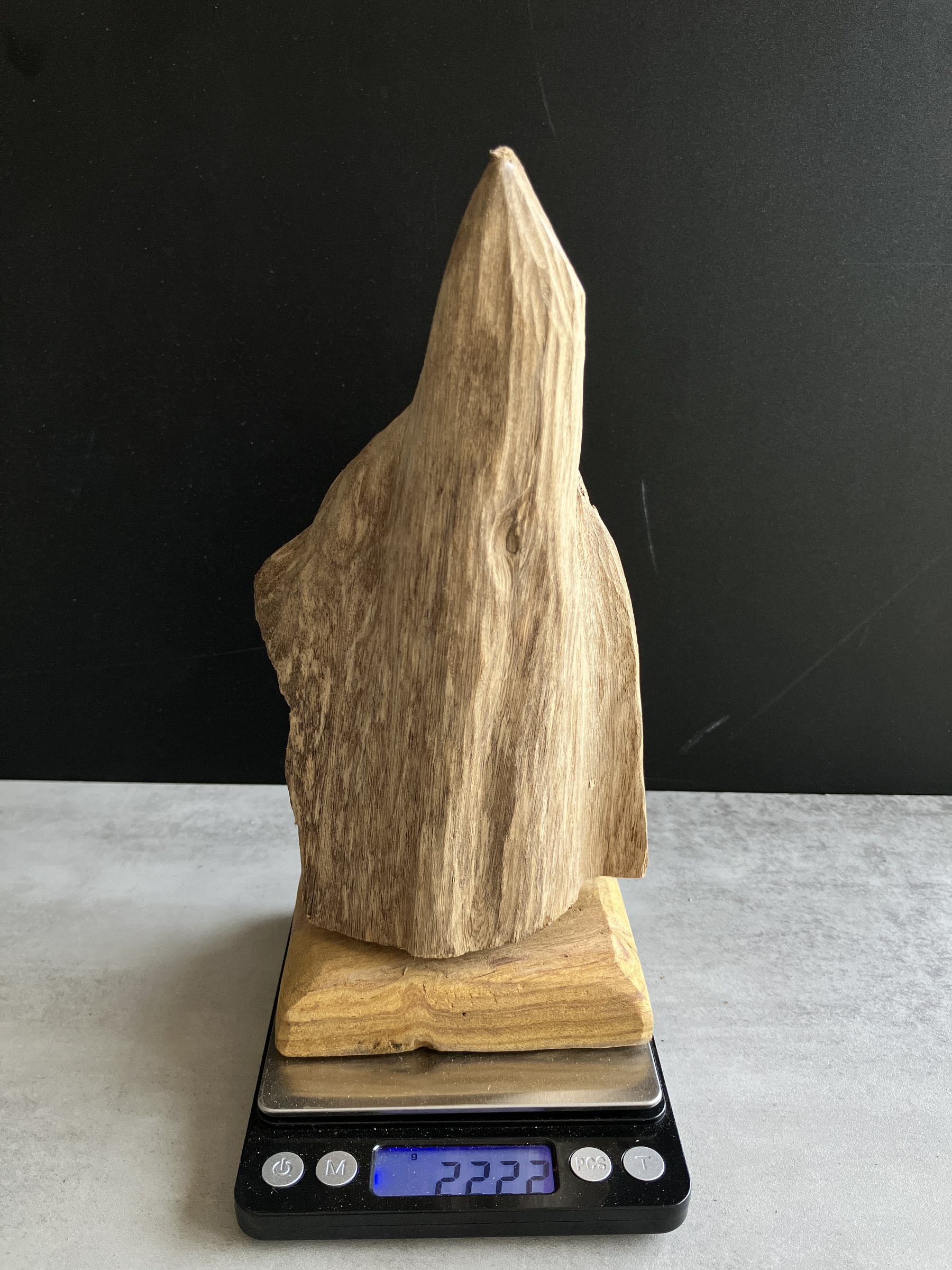 image_82942F10-94CC-45E1-9423-26F3552E5225_1750145815