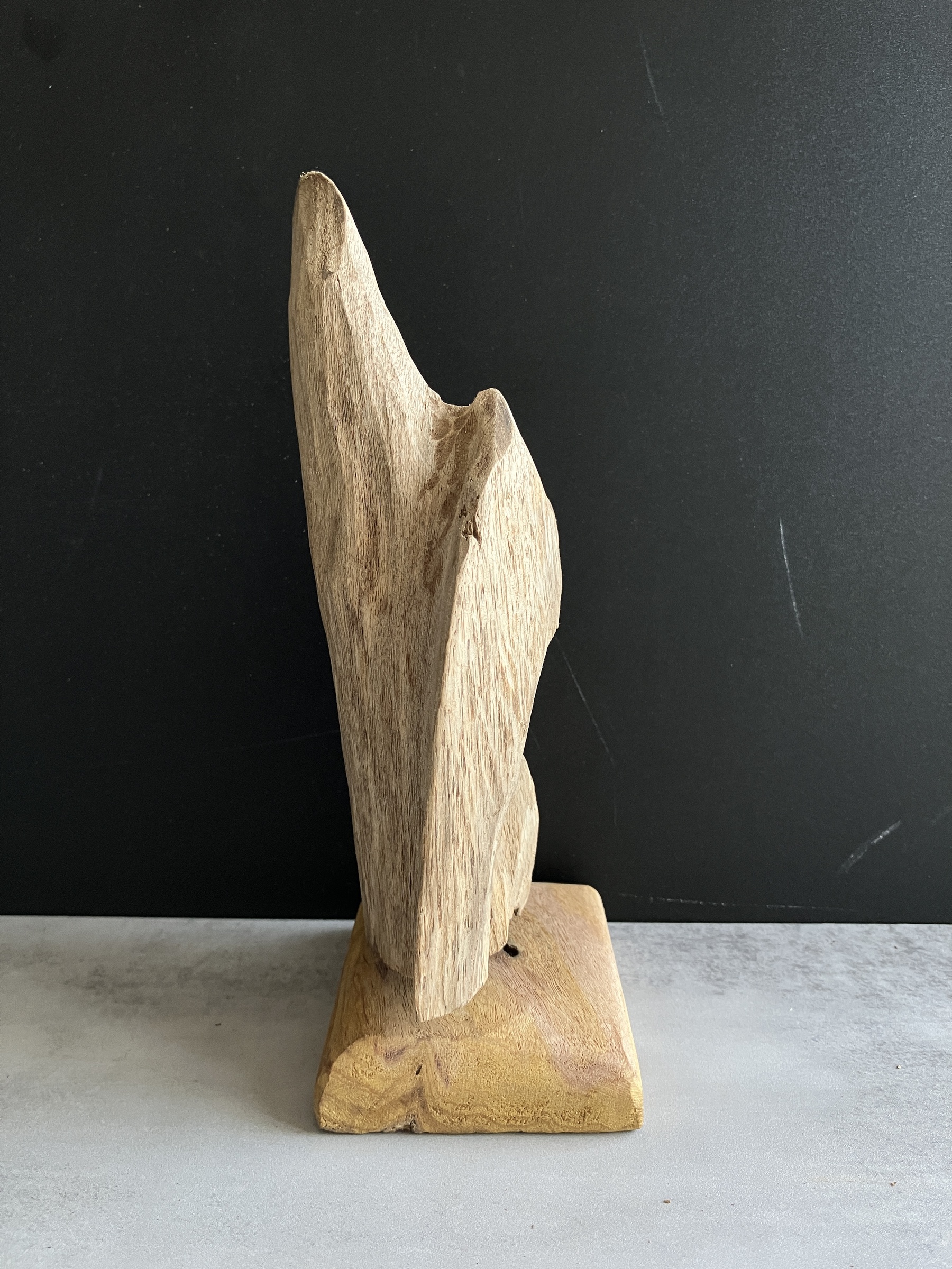 image_906D1D6B-B1FB-4A48-B7E7-4155382CC16C_1750145815