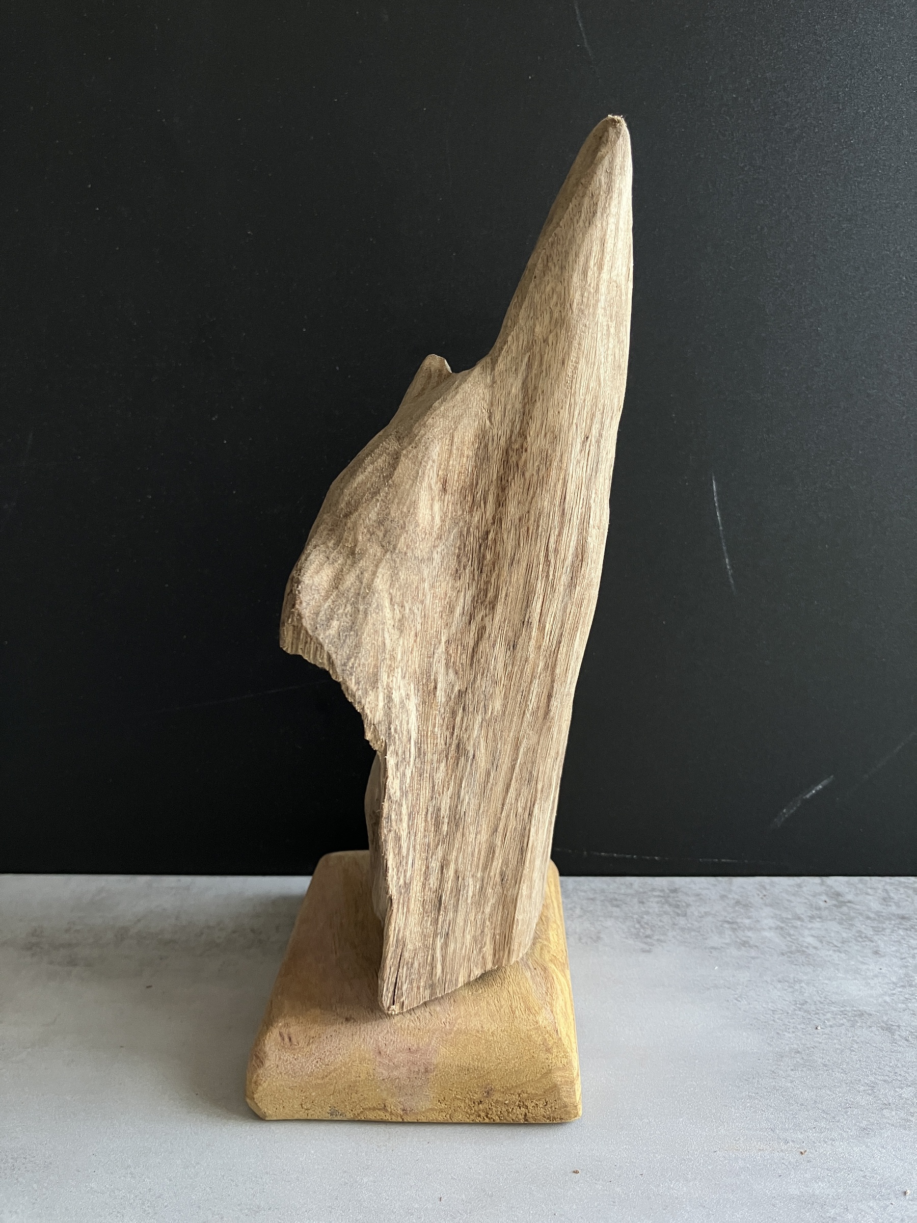 image_E99586A0-FE15-4E62-80AD-C094129ACD67_1750145815