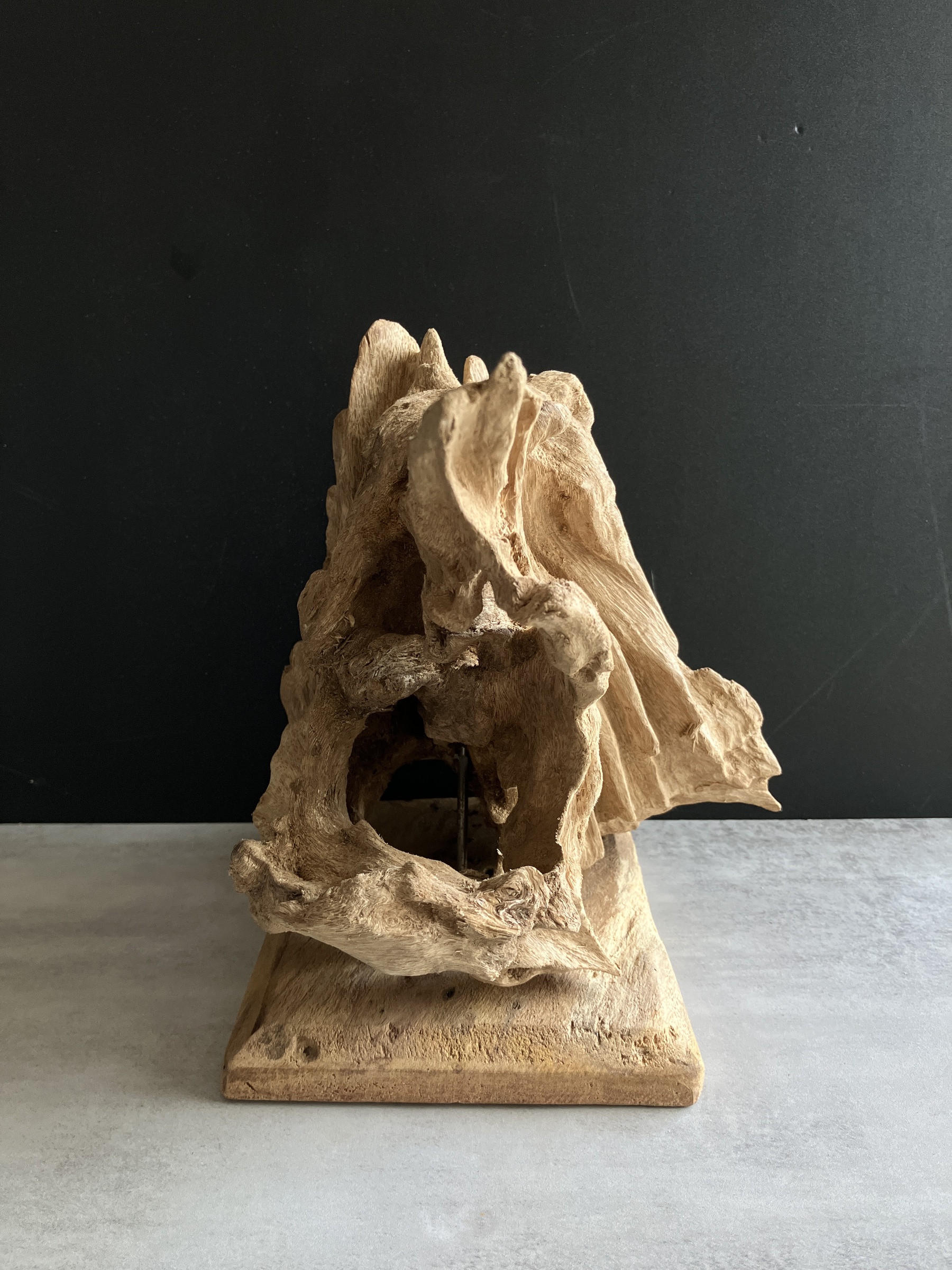 image_77DCE7D7-CEA6-4115-A503-34CE686BEB0C_1750147054