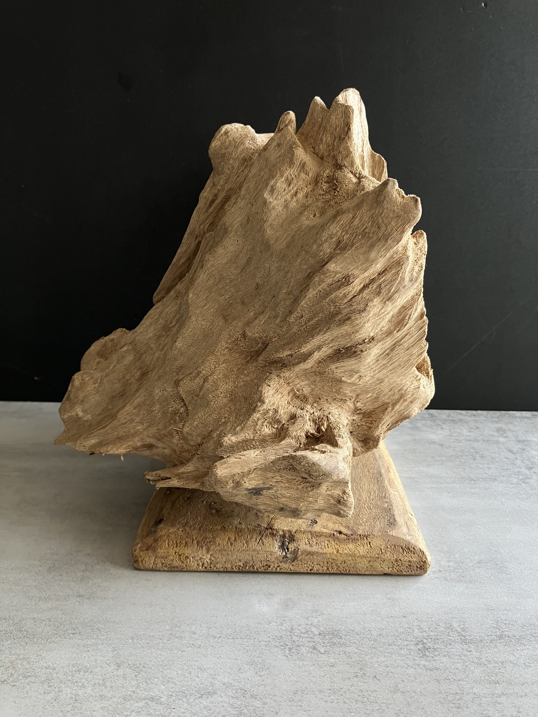 image_A1D1D66C-70DB-46E1-8603-00DDF1CD086C_1750147054